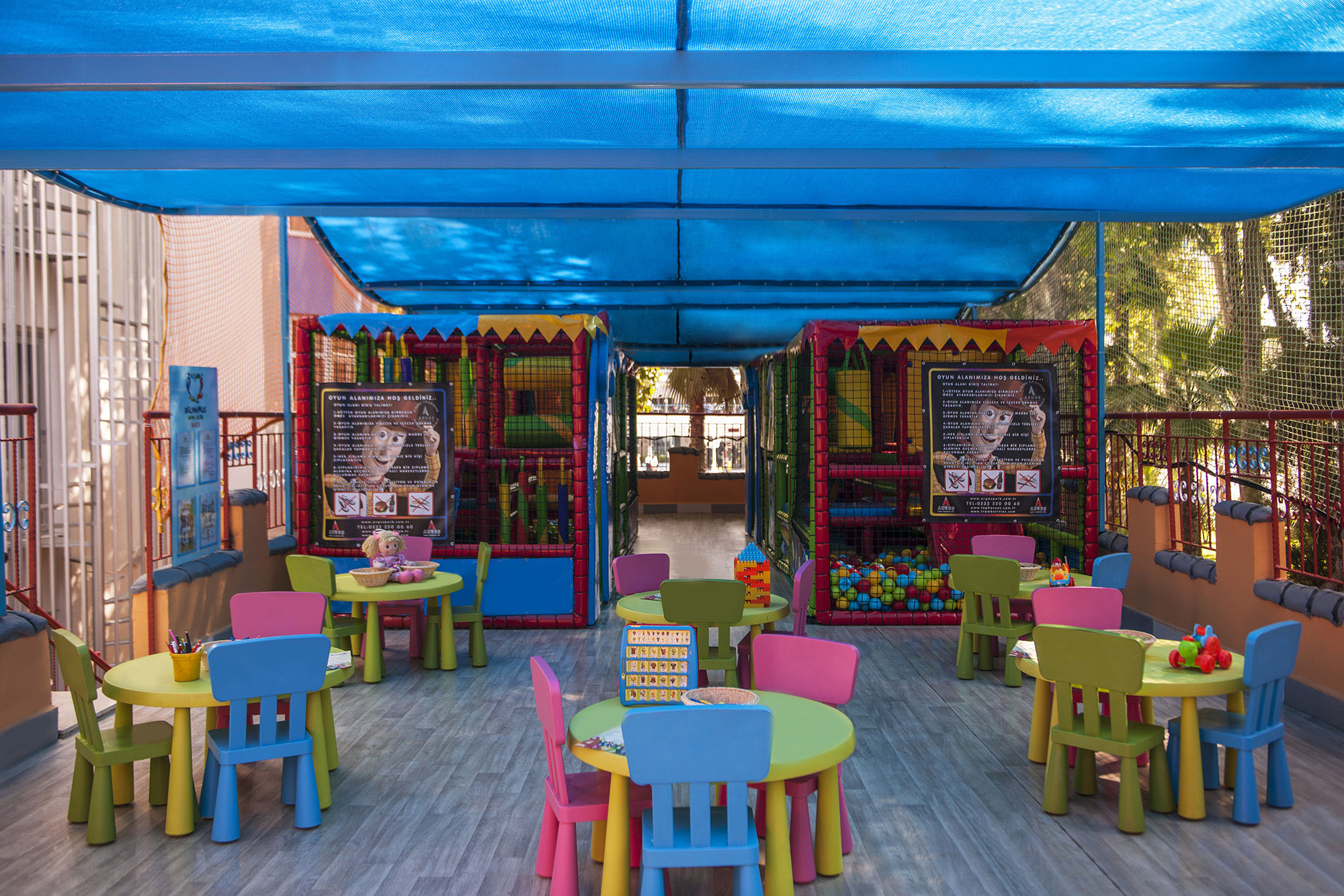 Delphin Botanik - Afbeelding 4