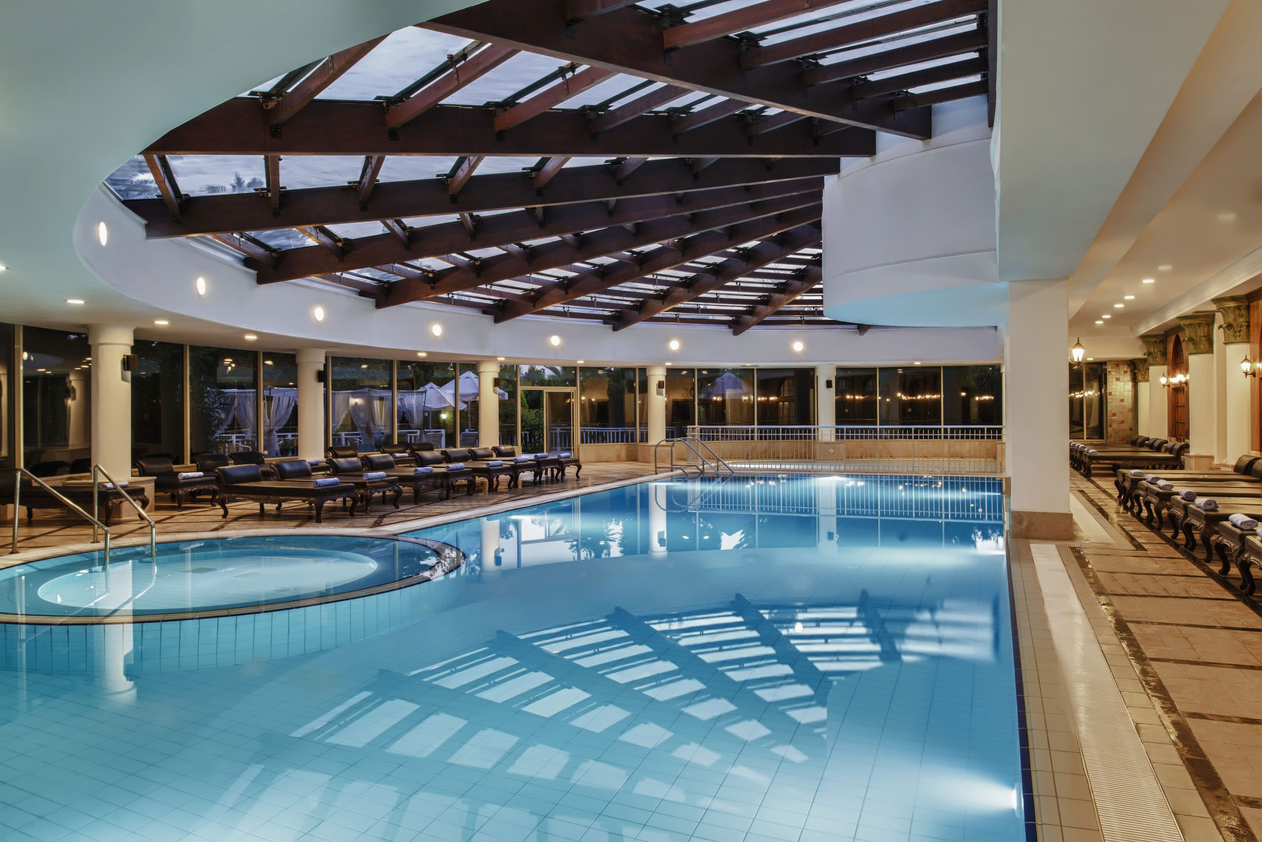 Delphin Diva - Afbeelding 2