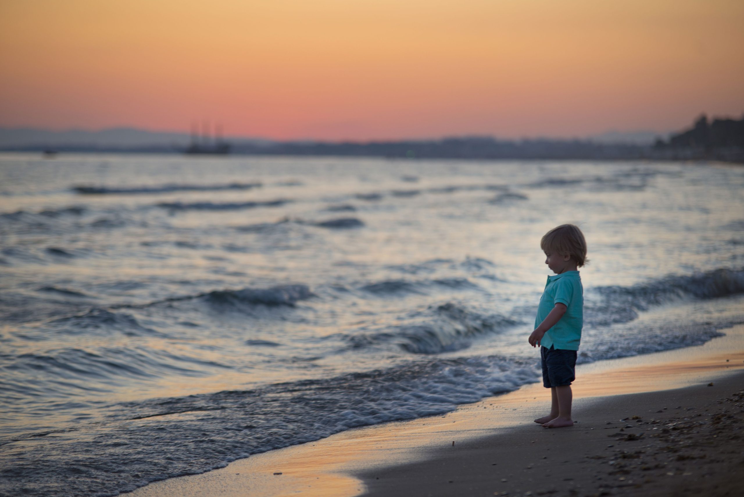 Acanthus & Cennet Barut Collection - Afbeelding 2