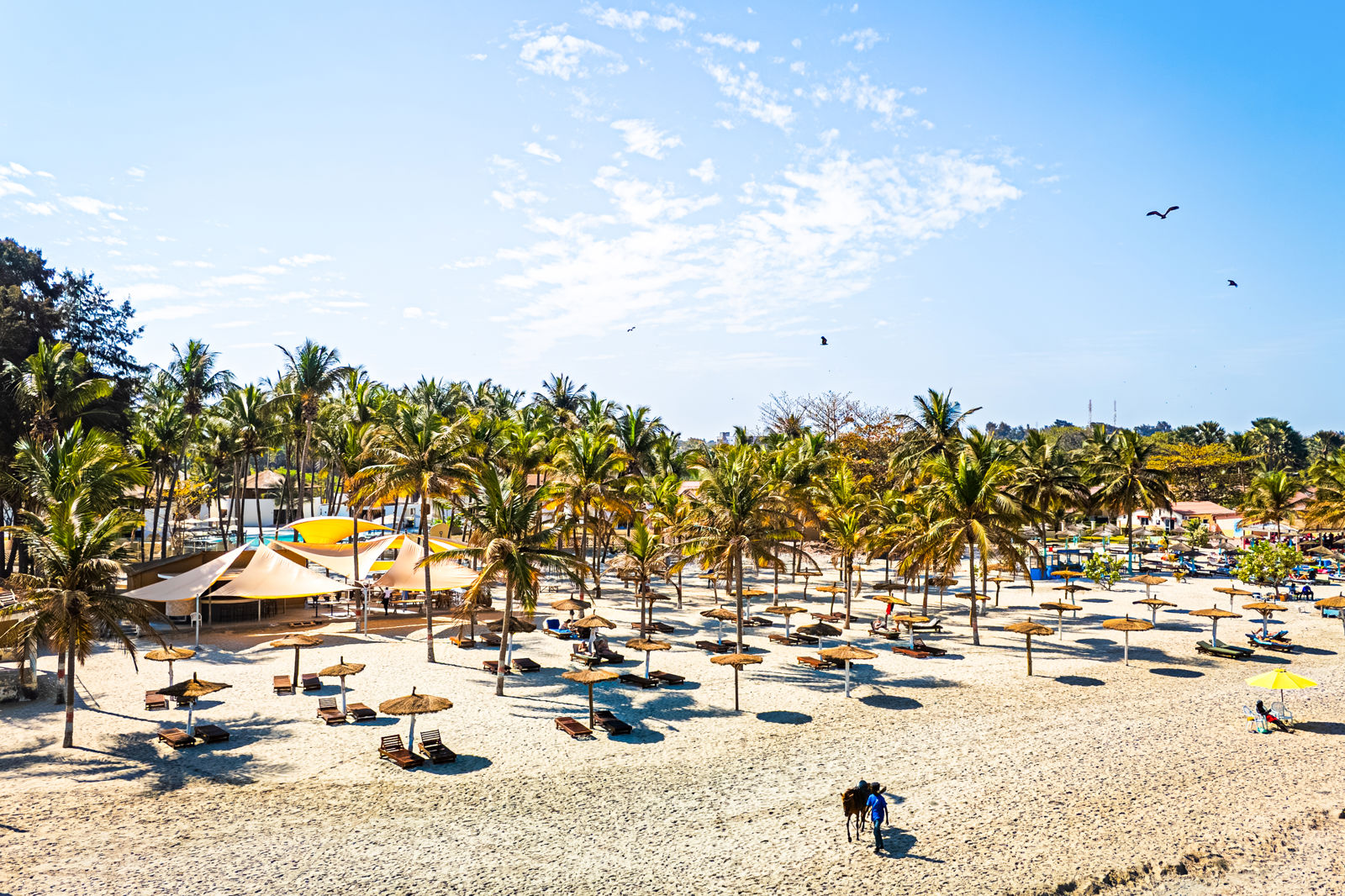 Palm Beach - Afbeelding 3