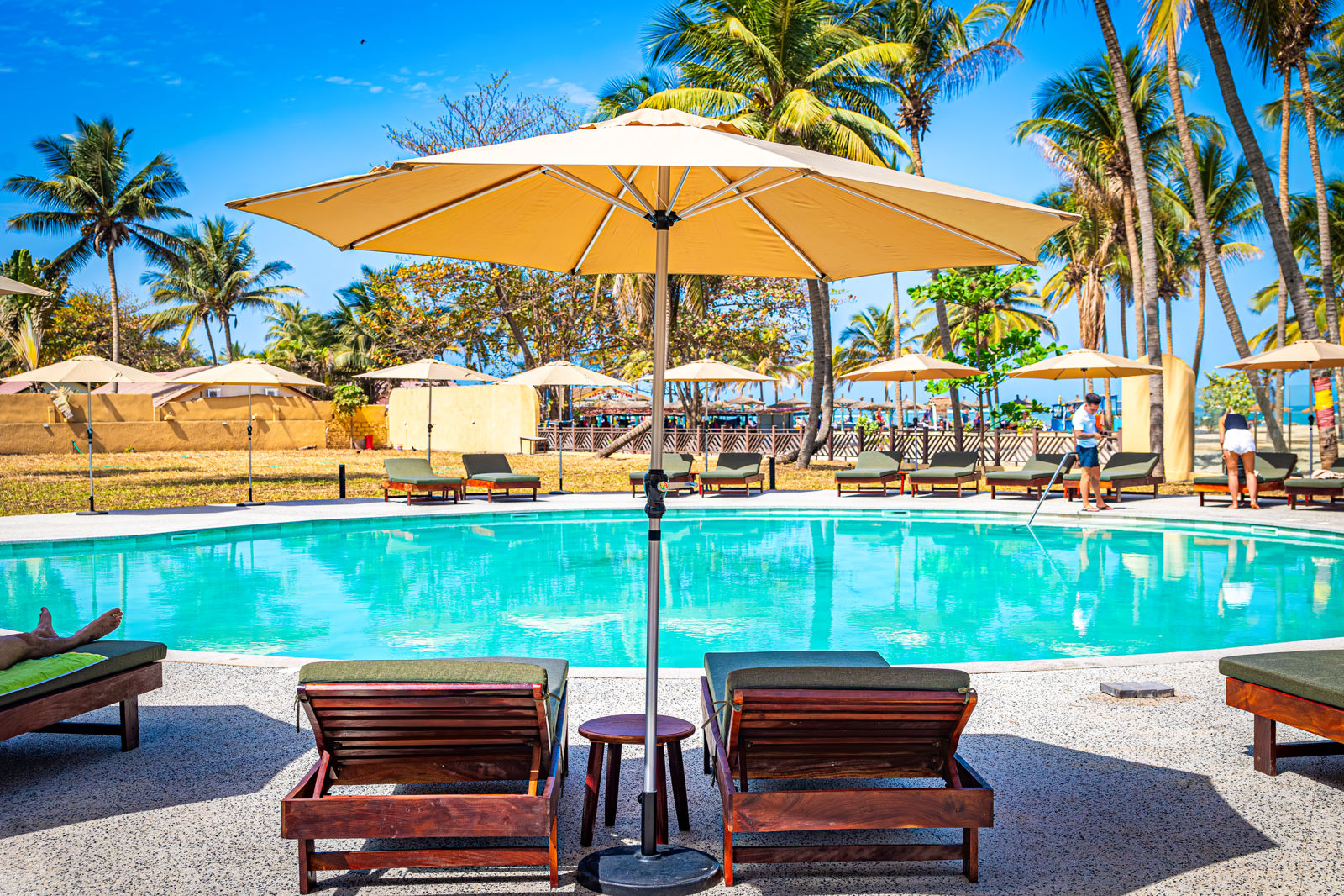 Palm Beach - Afbeelding 4