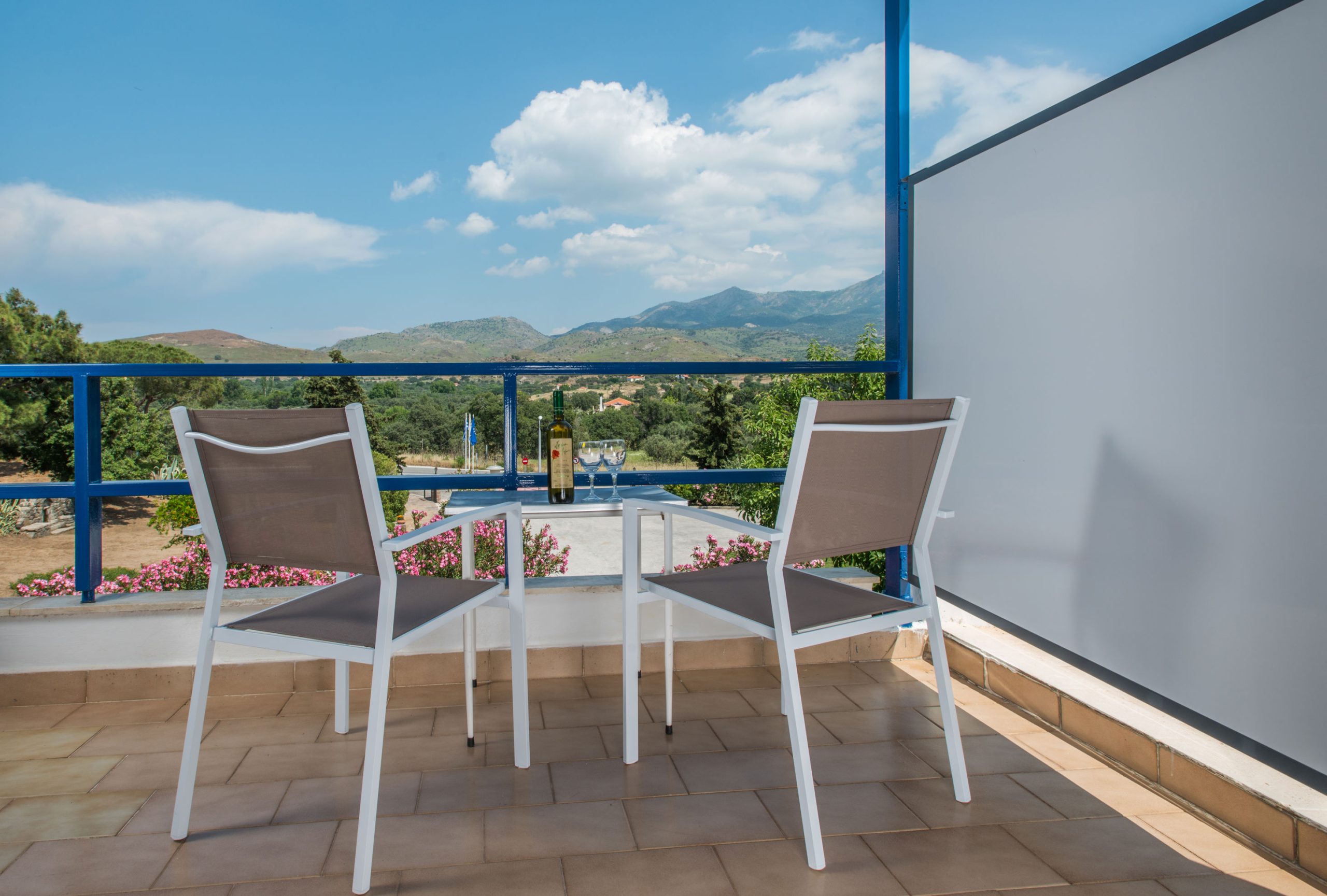 Delfinia - Afbeelding 4