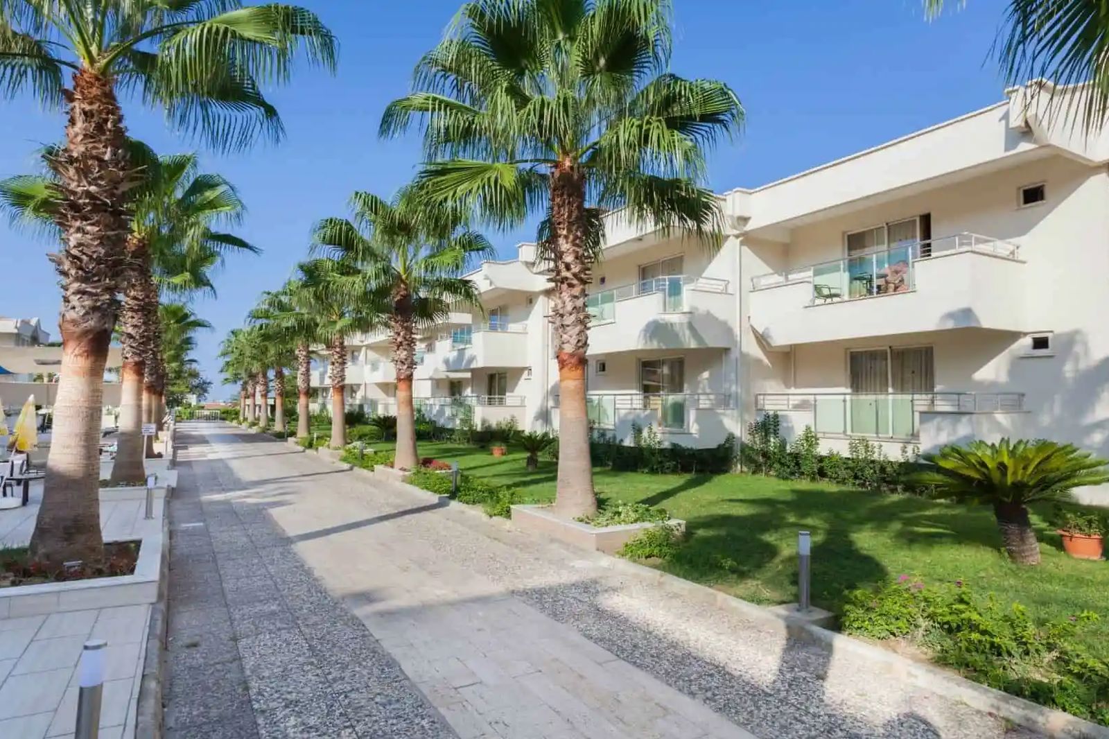 Dream Family Club - Afbeelding 2