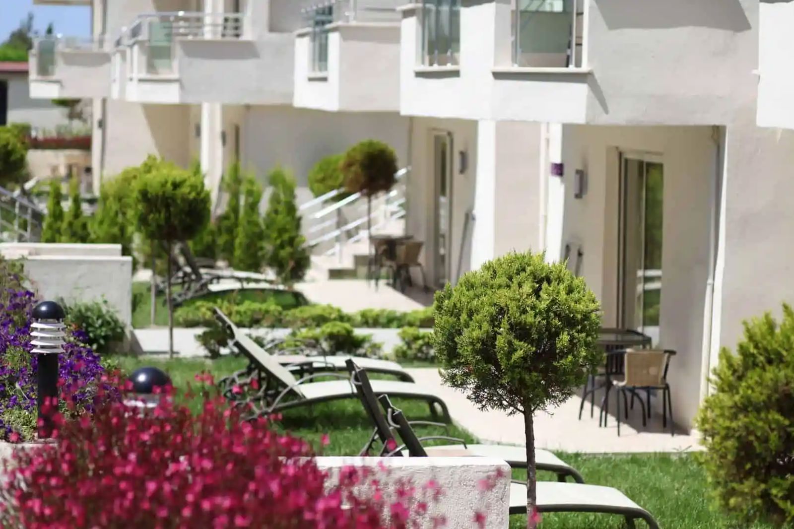 Dream Family Club - Afbeelding 4