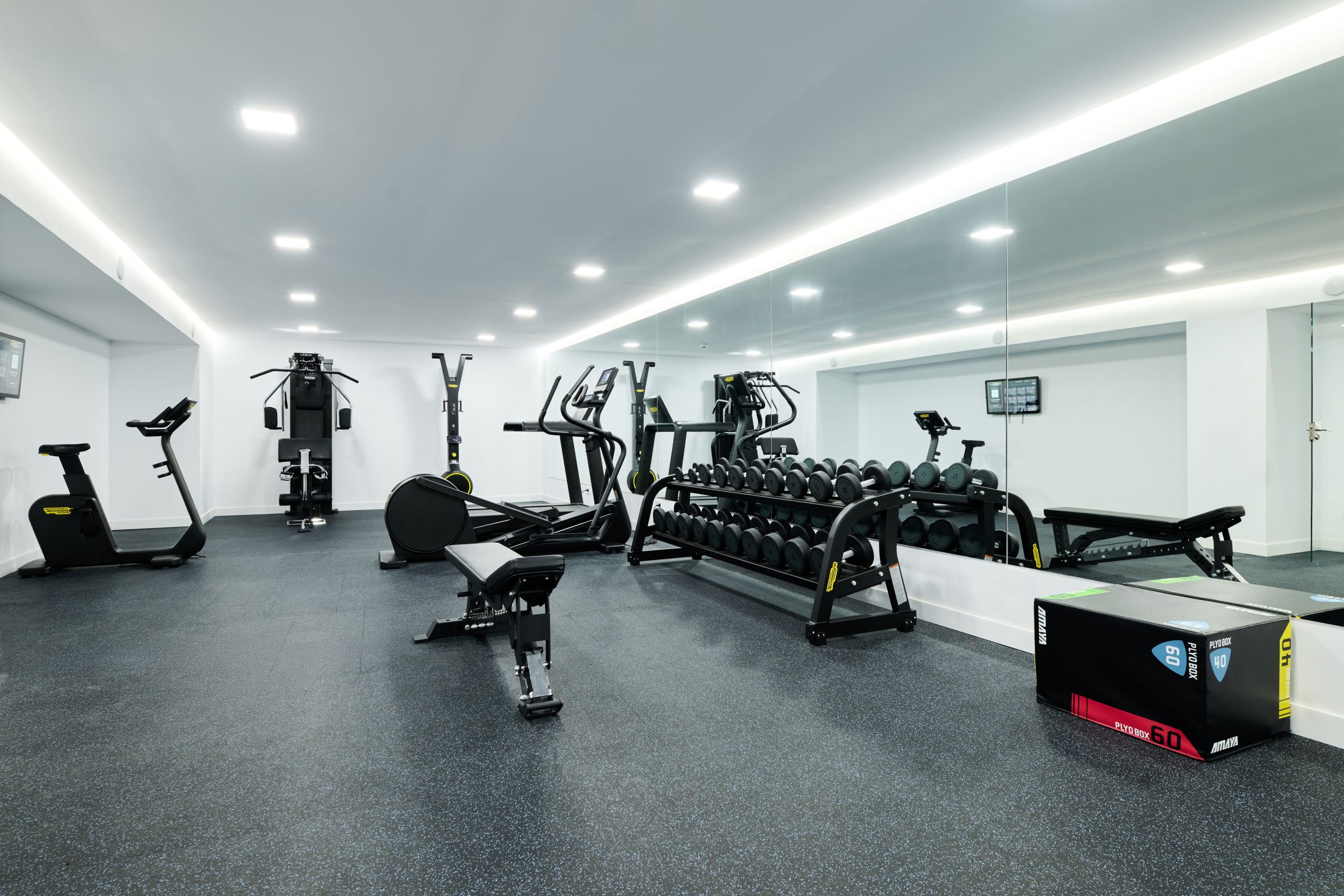 Alua Leo - Afbeelding 3