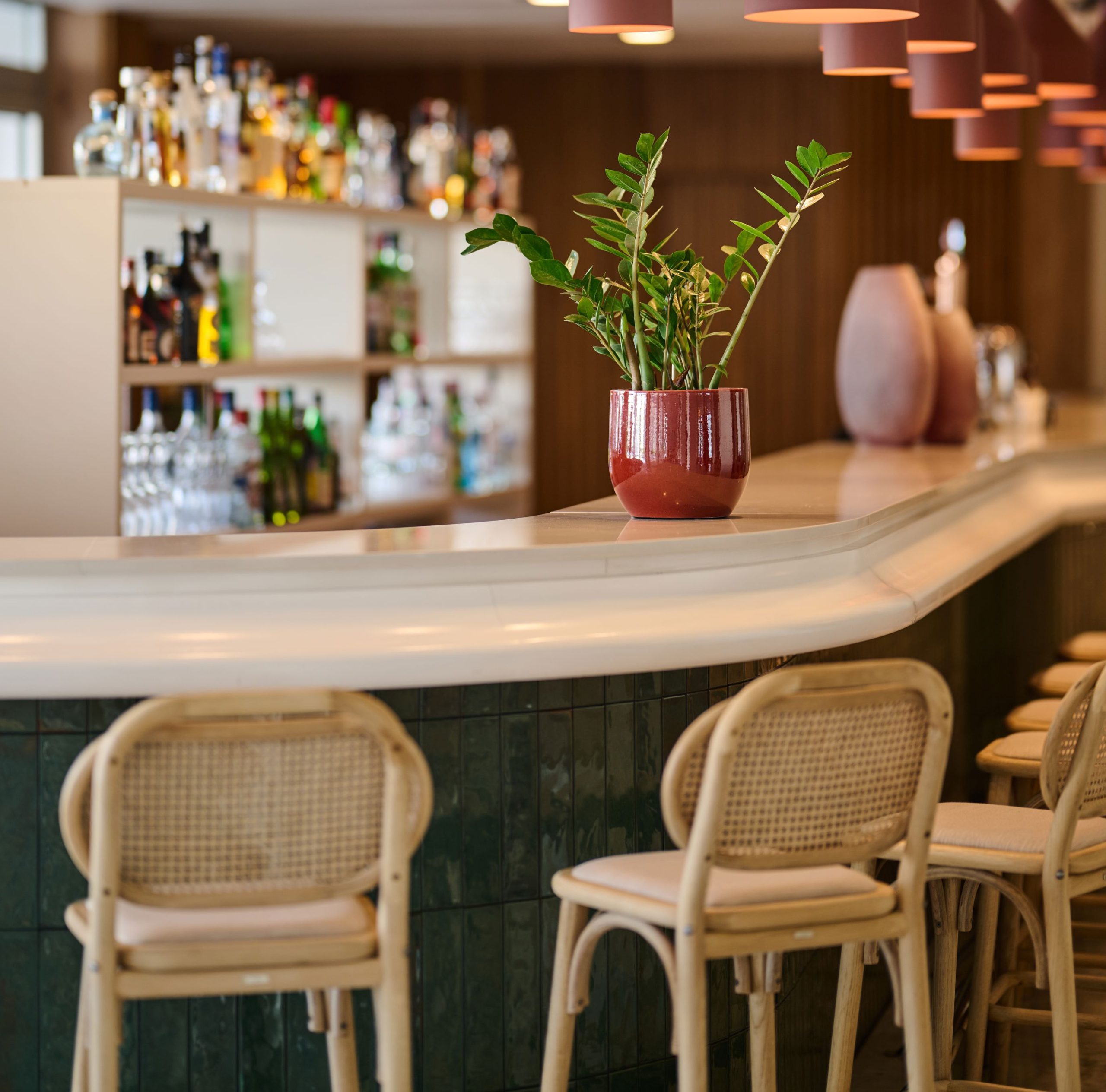 Alua Leo - Afbeelding 4