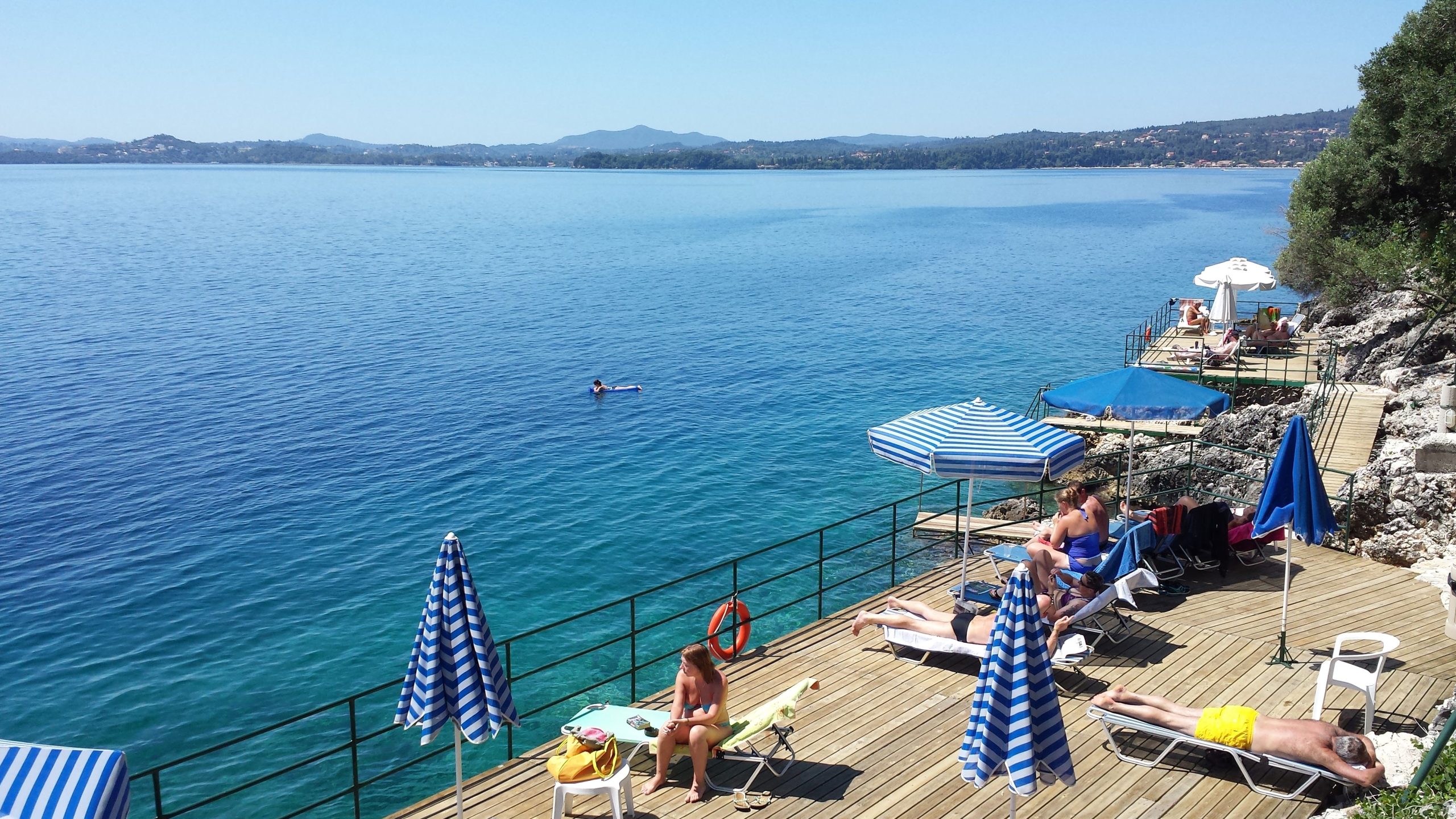 Nautilus Barbati - Afbeelding 3