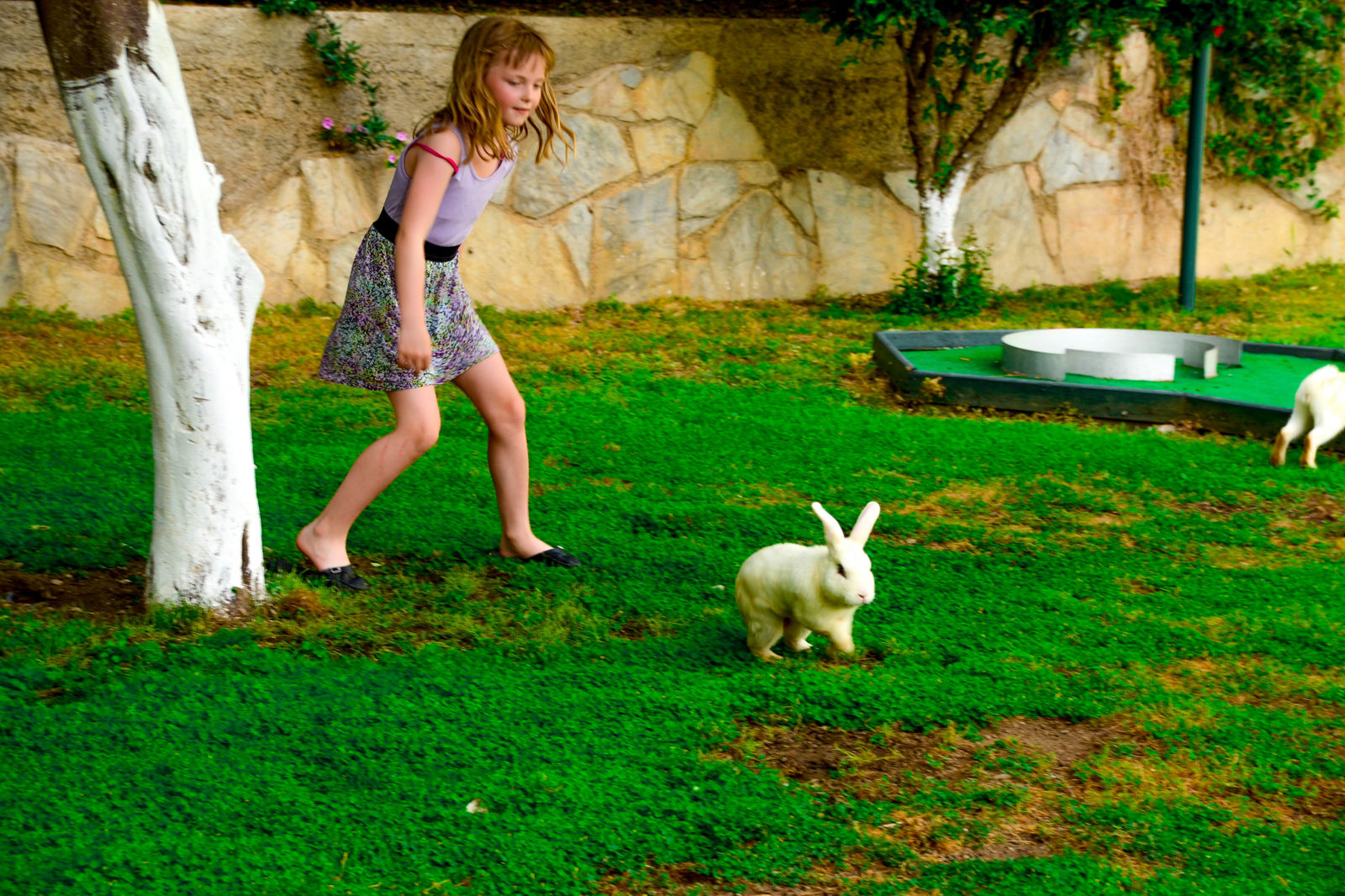 Green Park Appartementen - Afbeelding 3