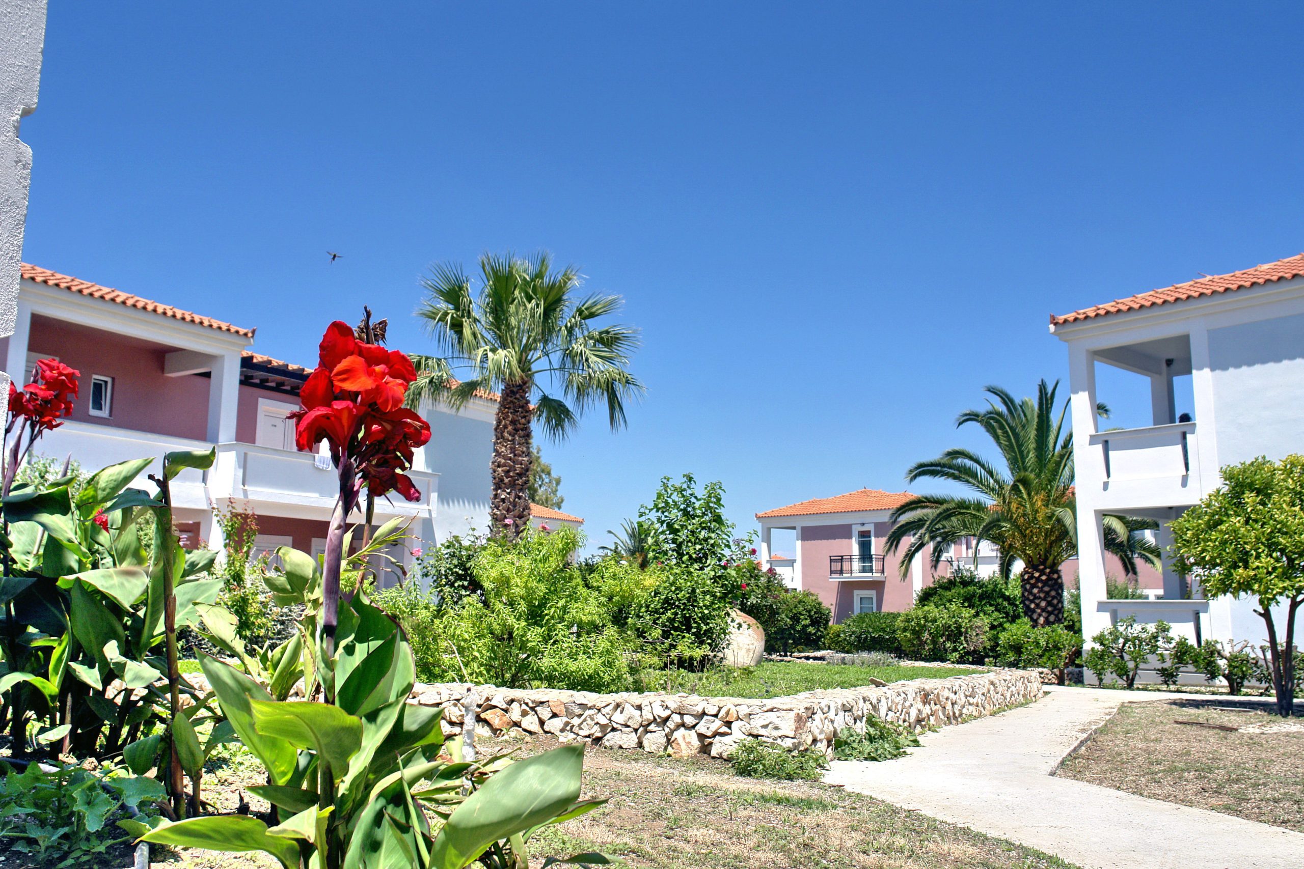 Panselinos - Afbeelding 4