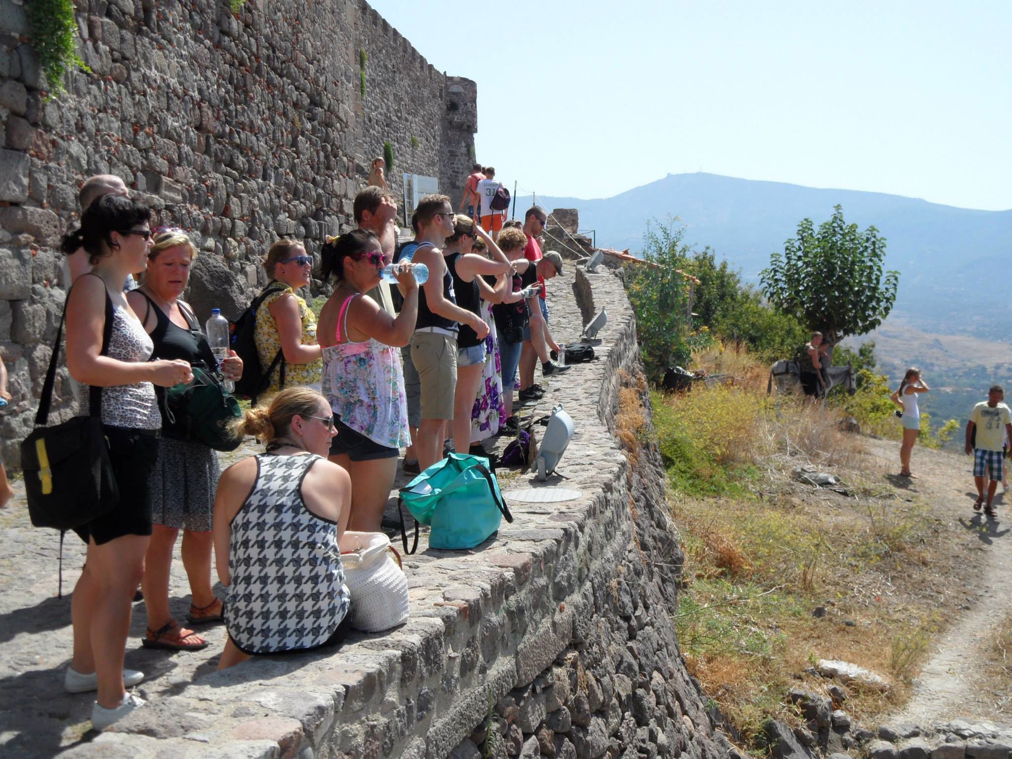 Excursiereis Lesbos - Afbeelding 3