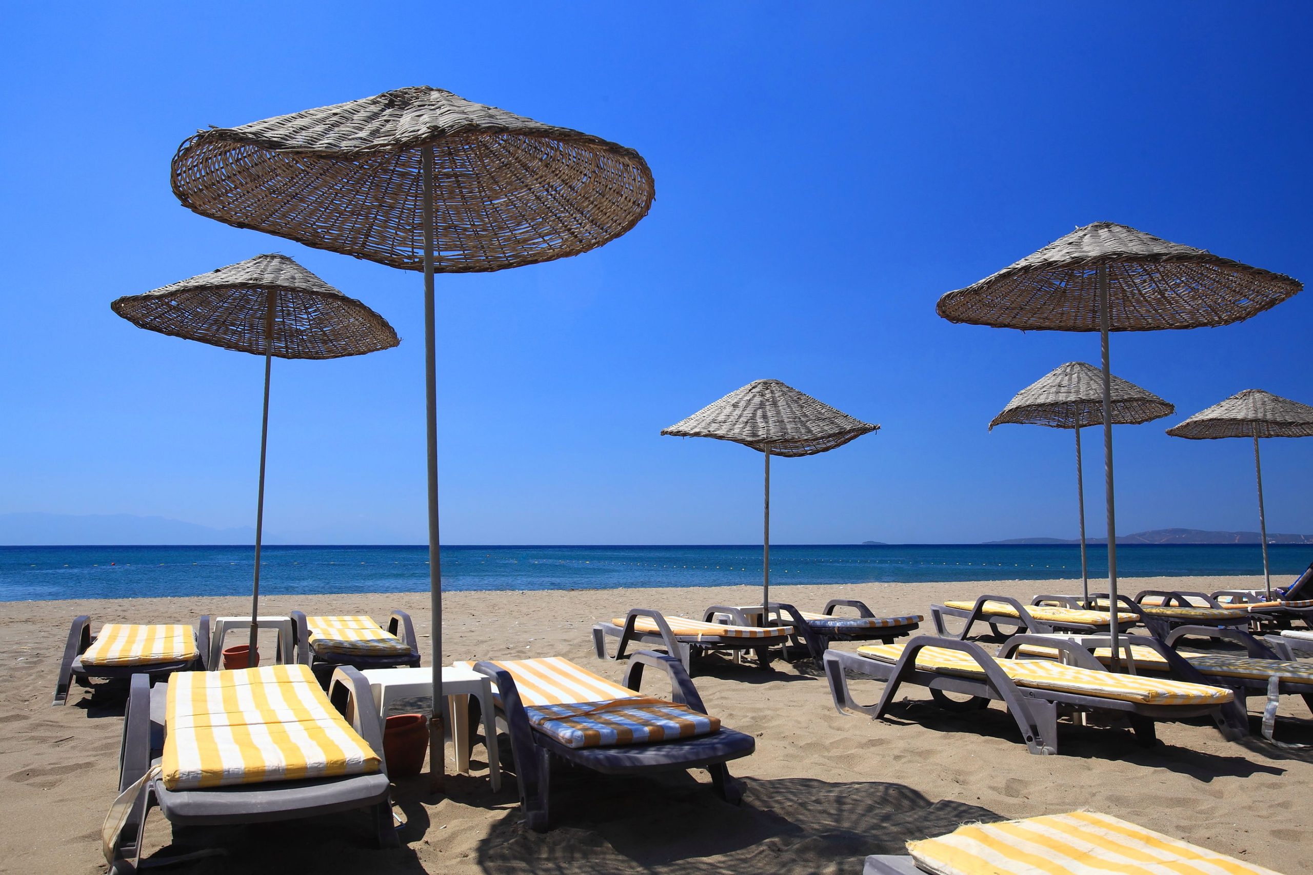 Club Cactus Paradise - Afbeelding 2