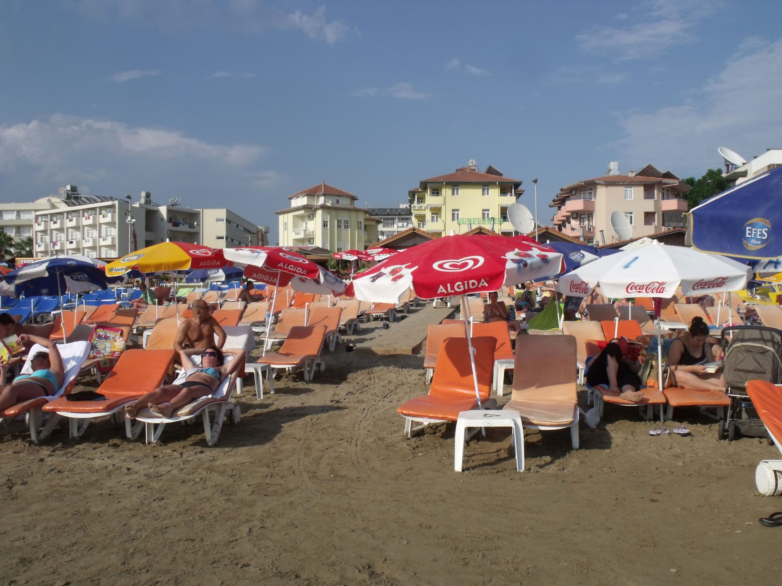 Sunflower - Afbeelding 2