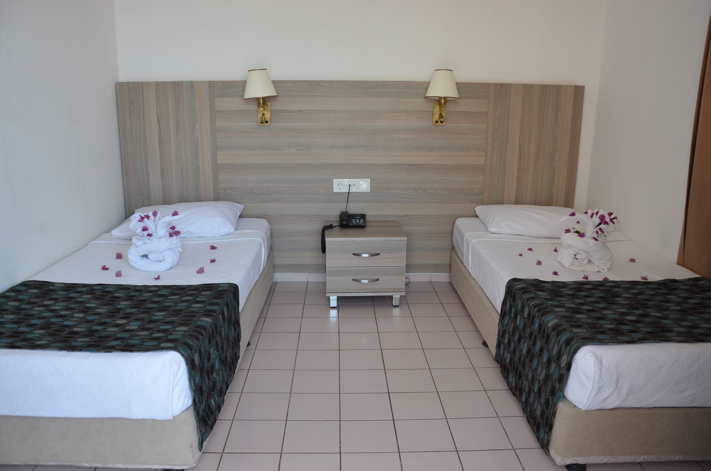 Sunflower - Afbeelding 3