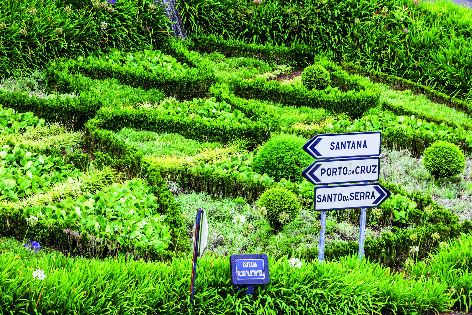 Fly & Drive Kleurrijk Madeira - Afbeelding 2