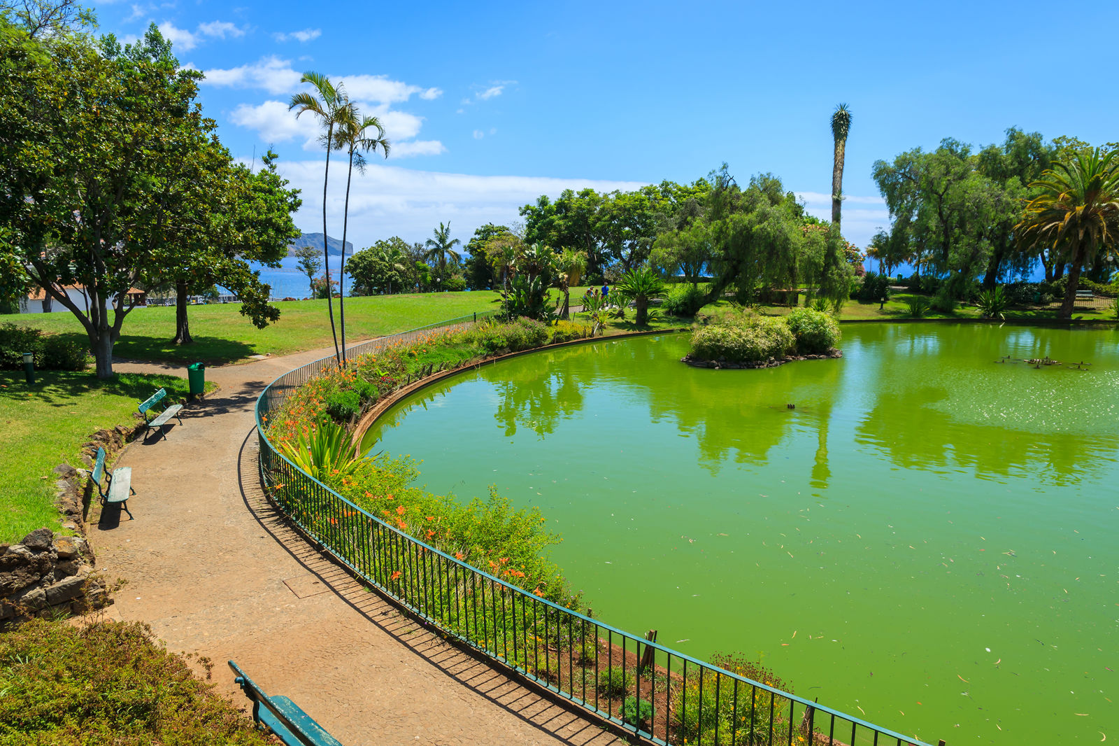 Fly & Drive Quinta's van Madeira - Afbeelding 3