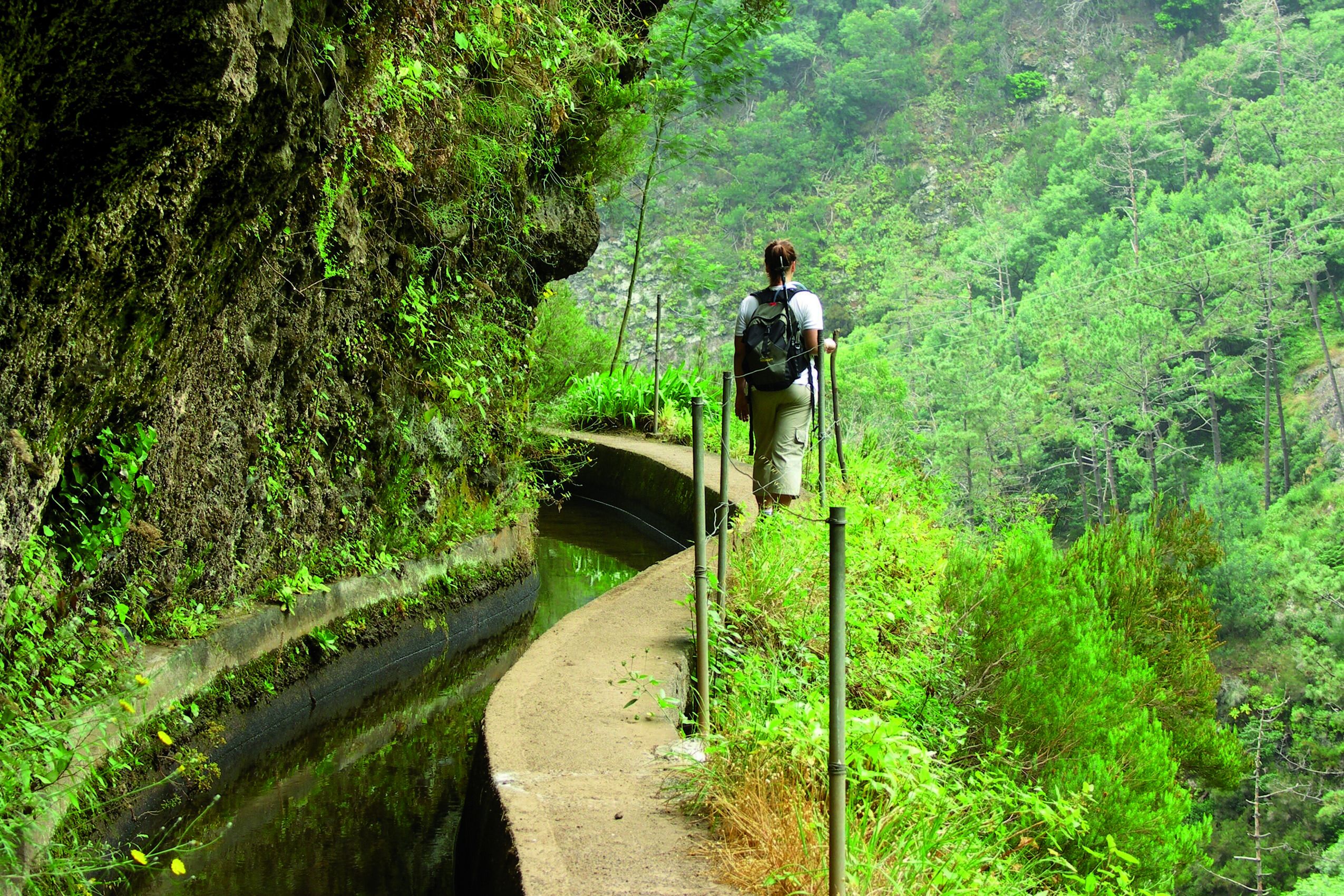 Fly & Drive Quinta's van Madeira - Afbeelding 2