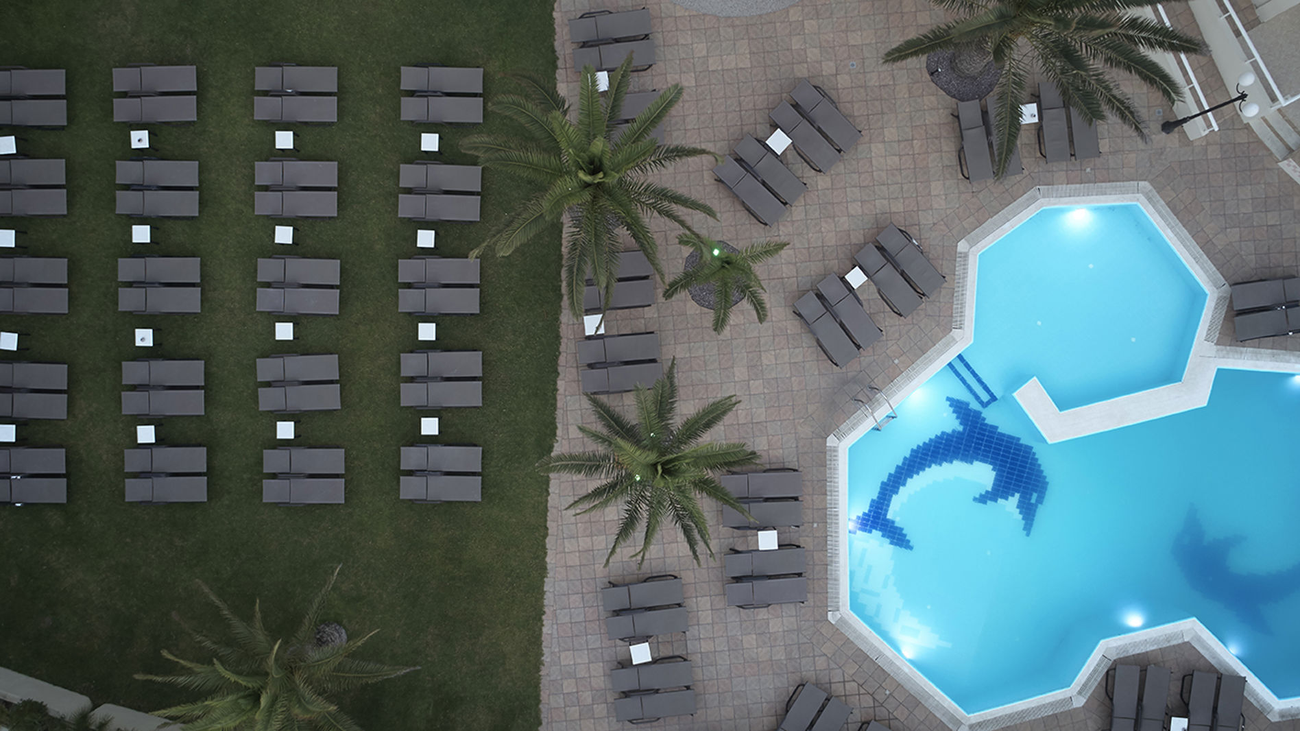 Cactus Hotel - Afbeelding 4