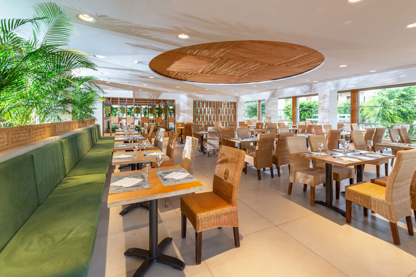 Cactus Beach - Afbeelding 3