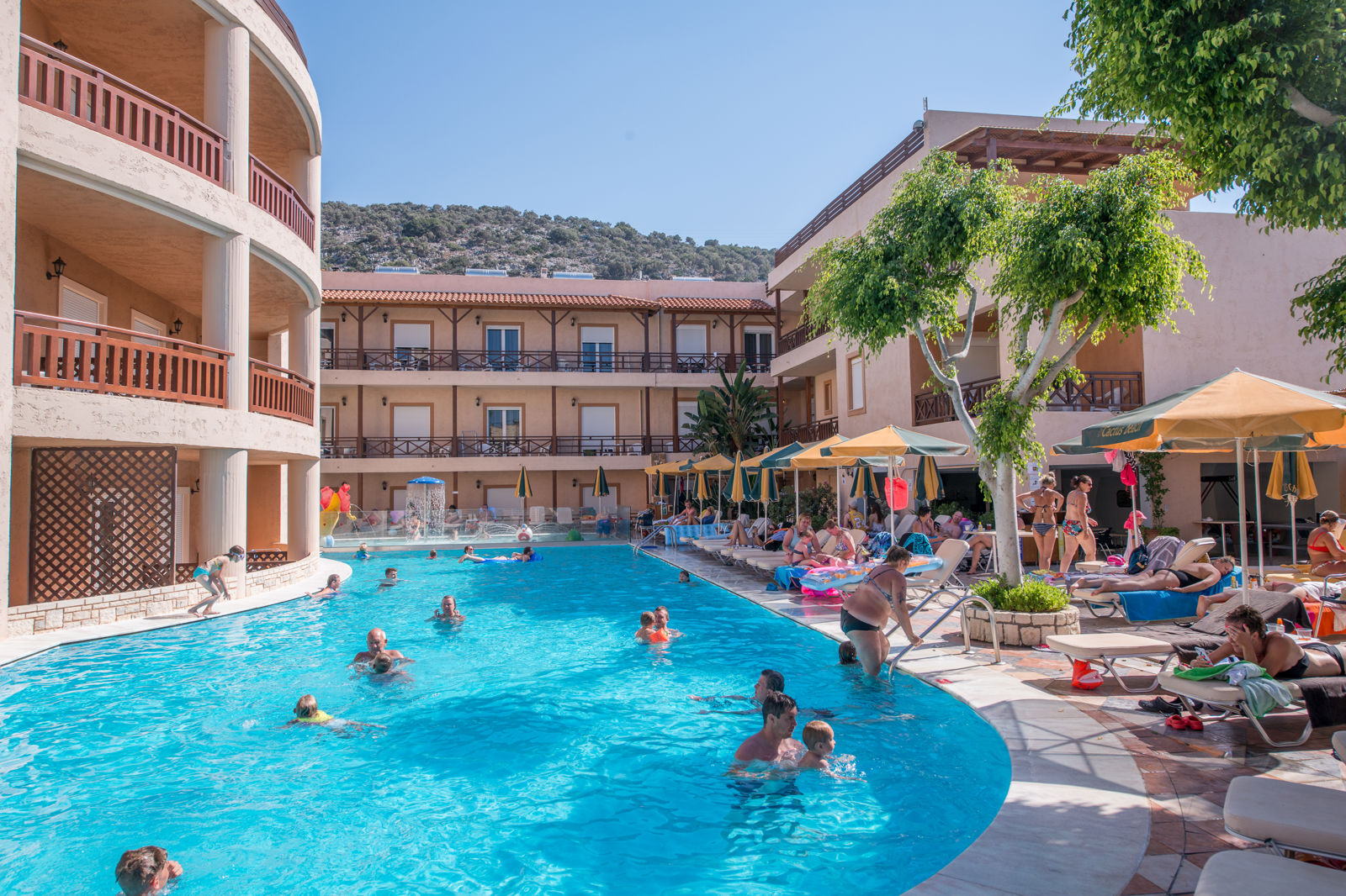 Cactus Beach - Afbeelding 2