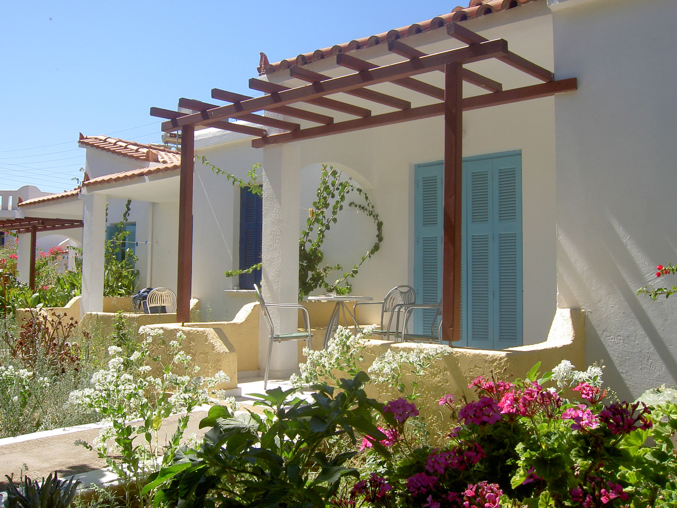 Pavlis Studios - Afbeelding 4