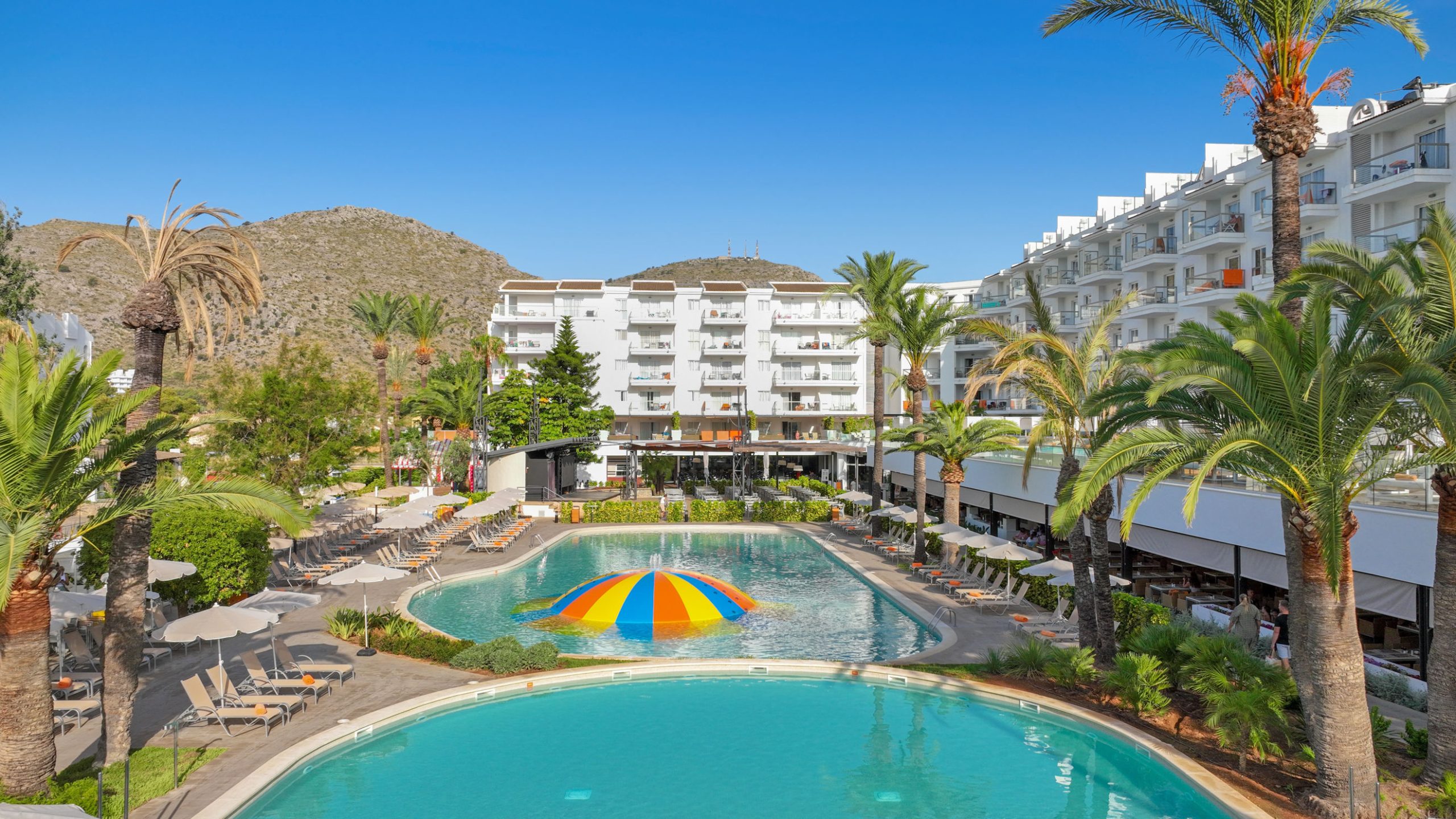 Viva Sunrise - Afbeelding 2