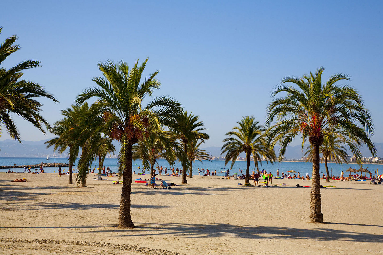 Whala Beach - Afbeelding 4