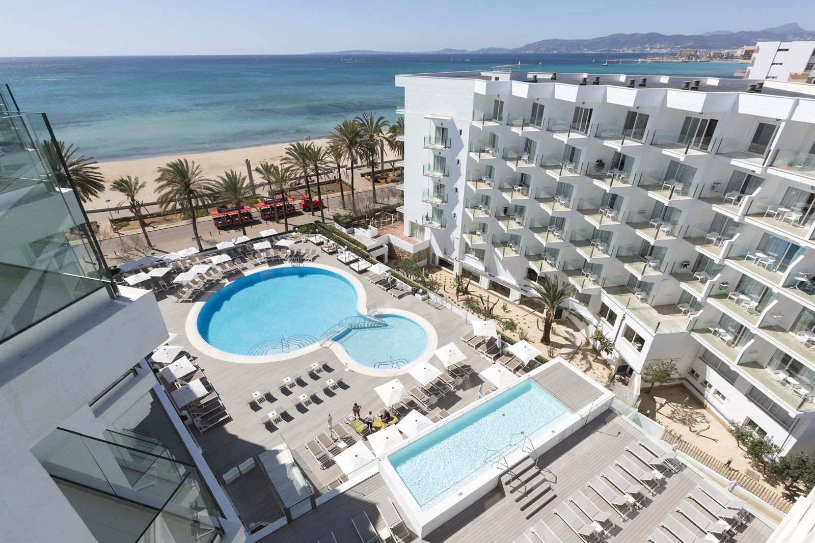 HM Tropical - Afbeelding 2