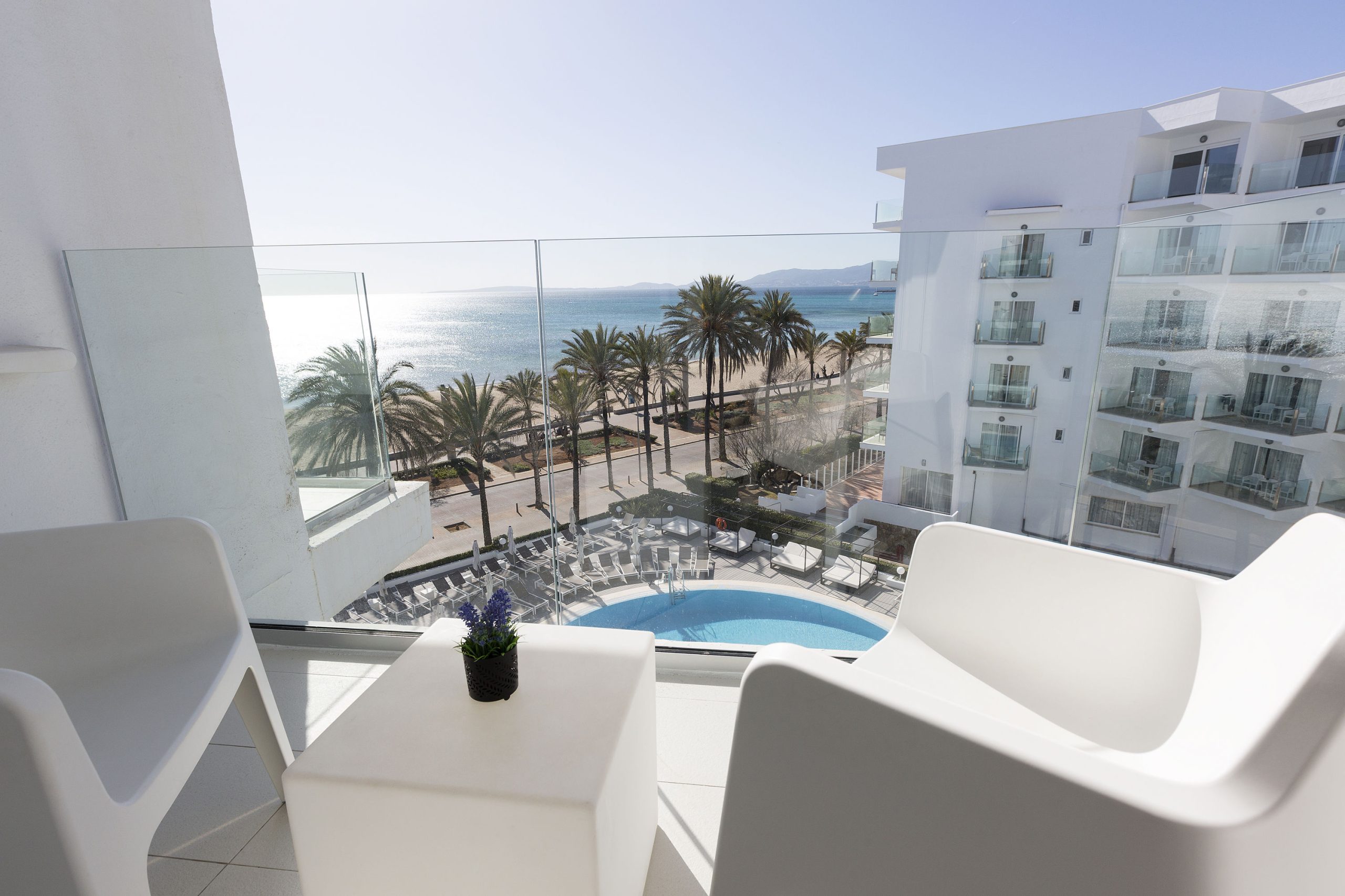 HM Tropical - Afbeelding 3