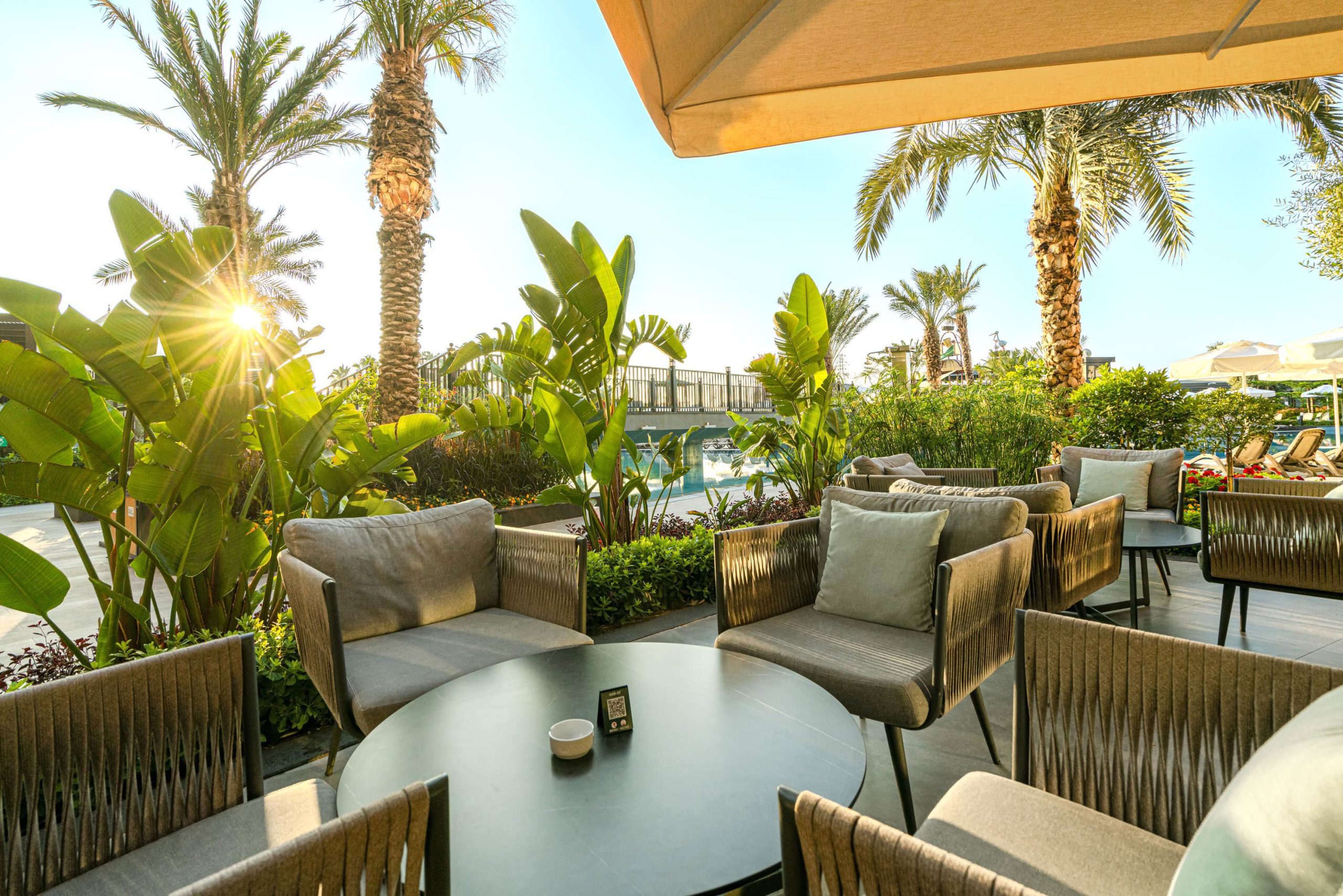 Calyptus Kirman Premium - Afbeelding 2