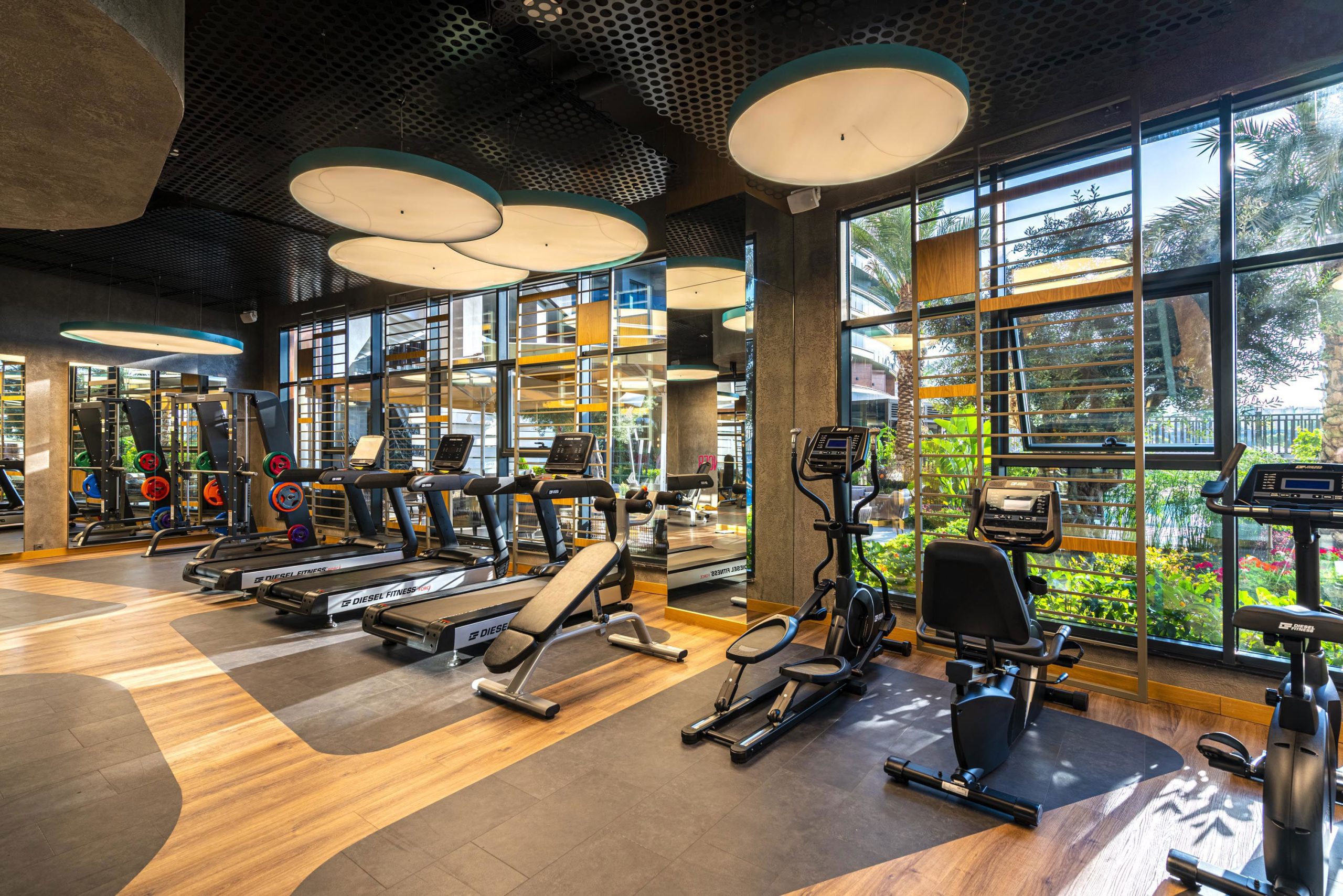 Calyptus Kirman Premium - Afbeelding 3