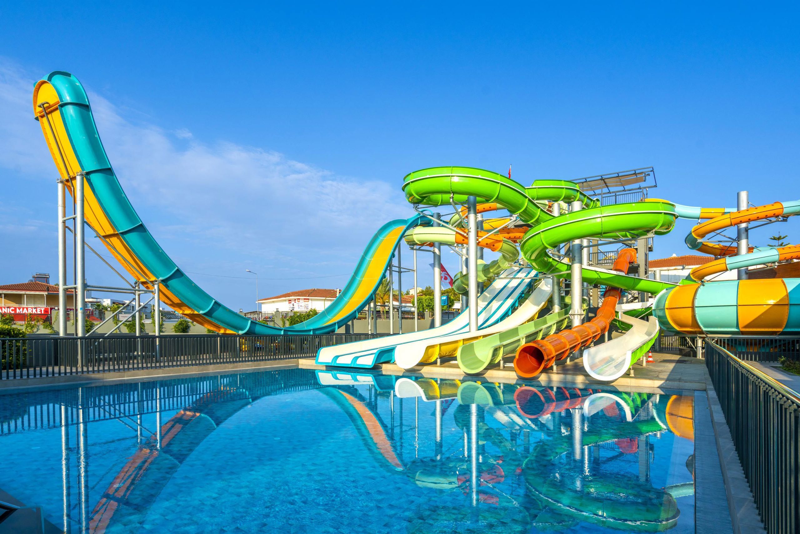 Calyptus Kirman Premium - Afbeelding 4