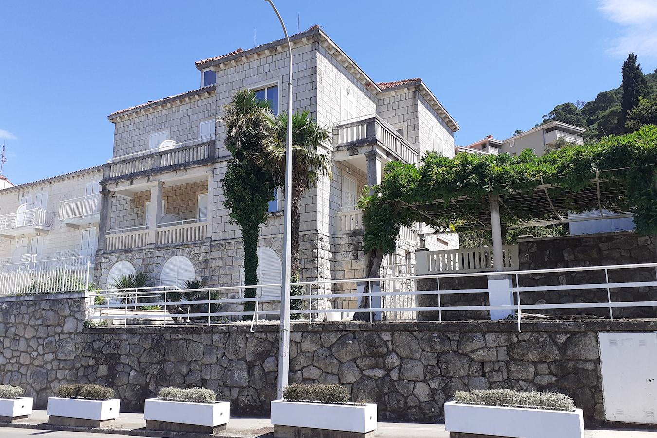 Komodor - Afbeelding 3