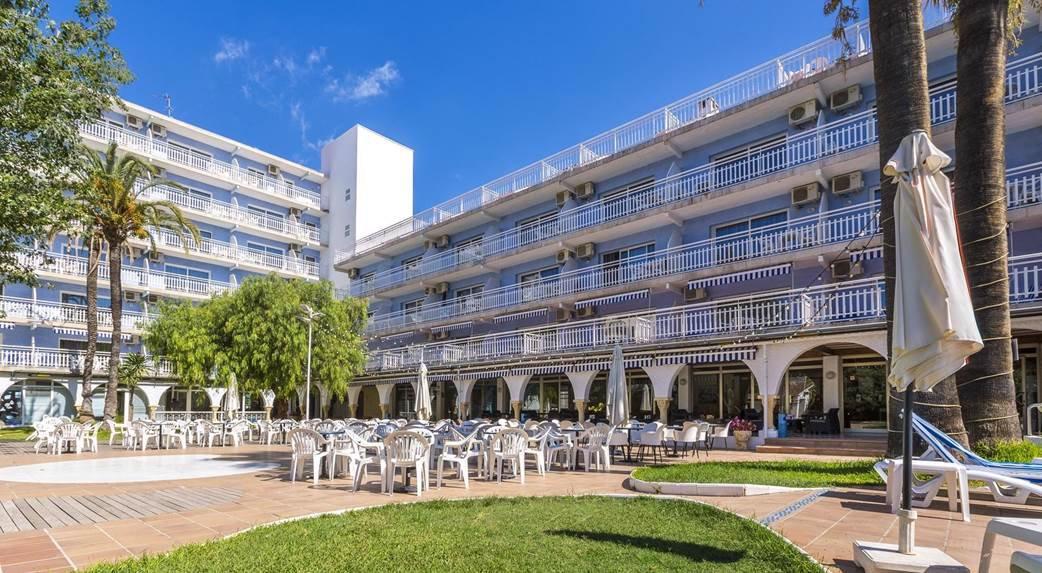 amentos Solimar - Afbeelding 3