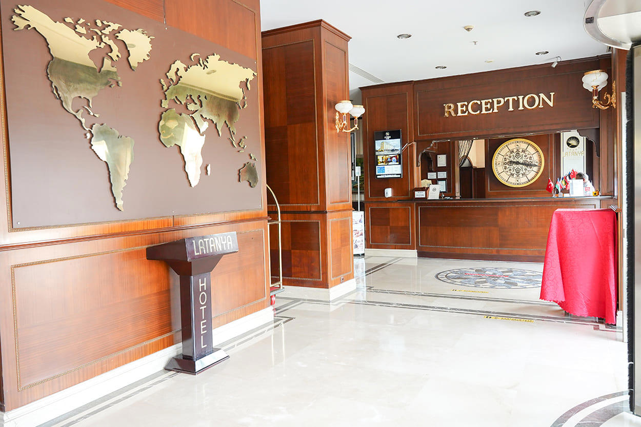 Latanya Palm - Afbeelding 2