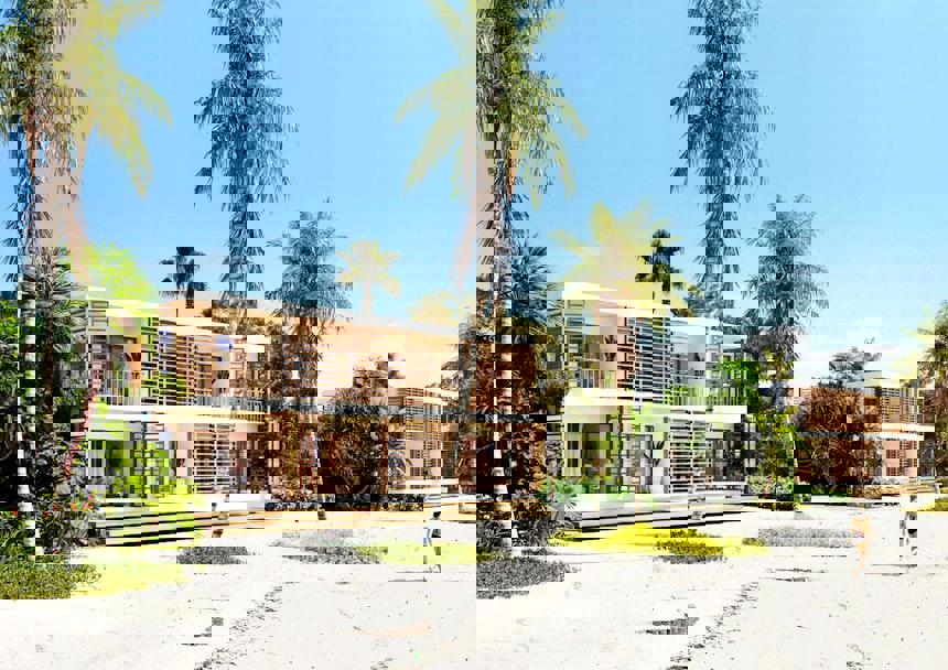 JAZ Elite Aurora - Afbeelding 3