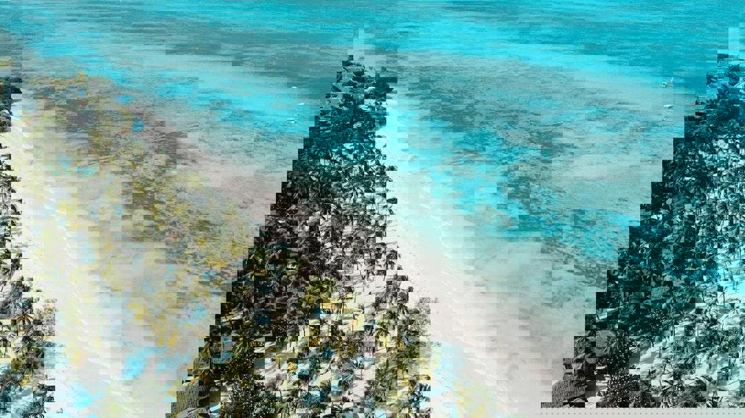 JAZ Elite Aurora - Afbeelding 4