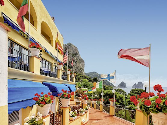 Weber Ambassador - Afbeelding 3