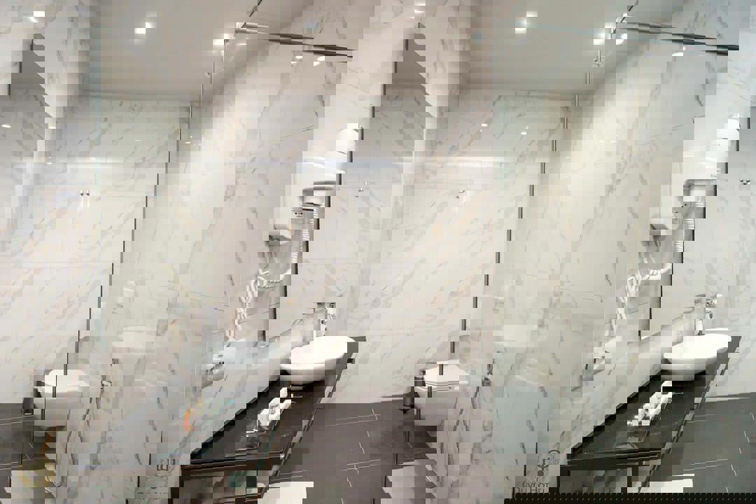 Olive - Afbeelding 2