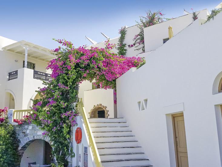 Proteas - Afbeelding 4