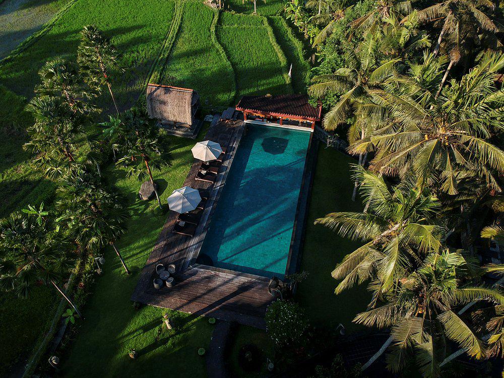 The Artini Dijiwa Ubud - Afbeelding 4