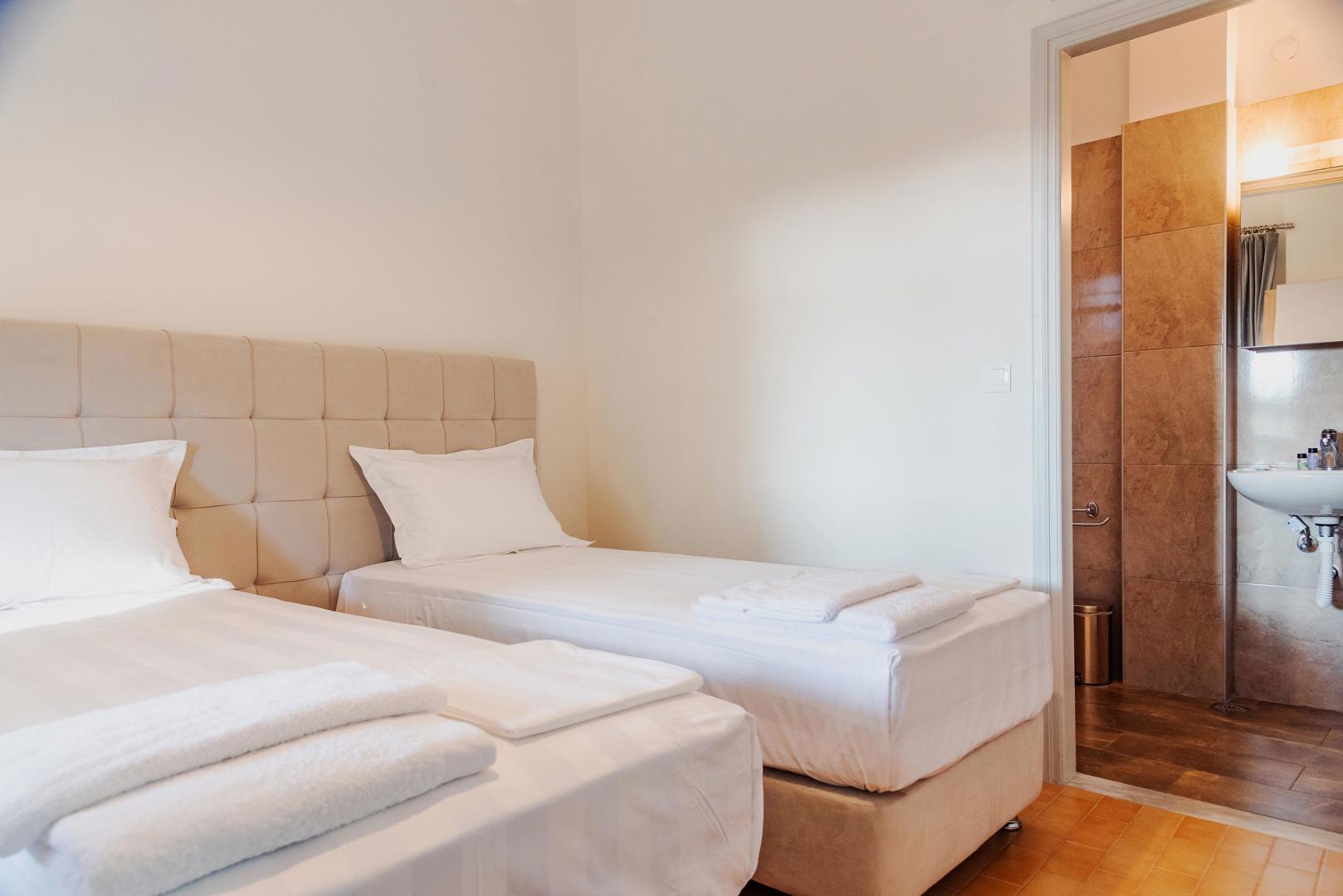 Kamelia - Afbeelding 2