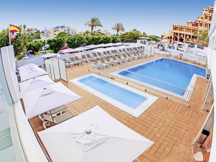 Lemon en Soul Cactus Garden - Afbeelding 3