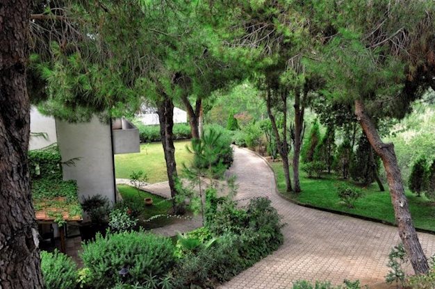 Villaggio Pineta Petto Bianco - Afbeelding 4