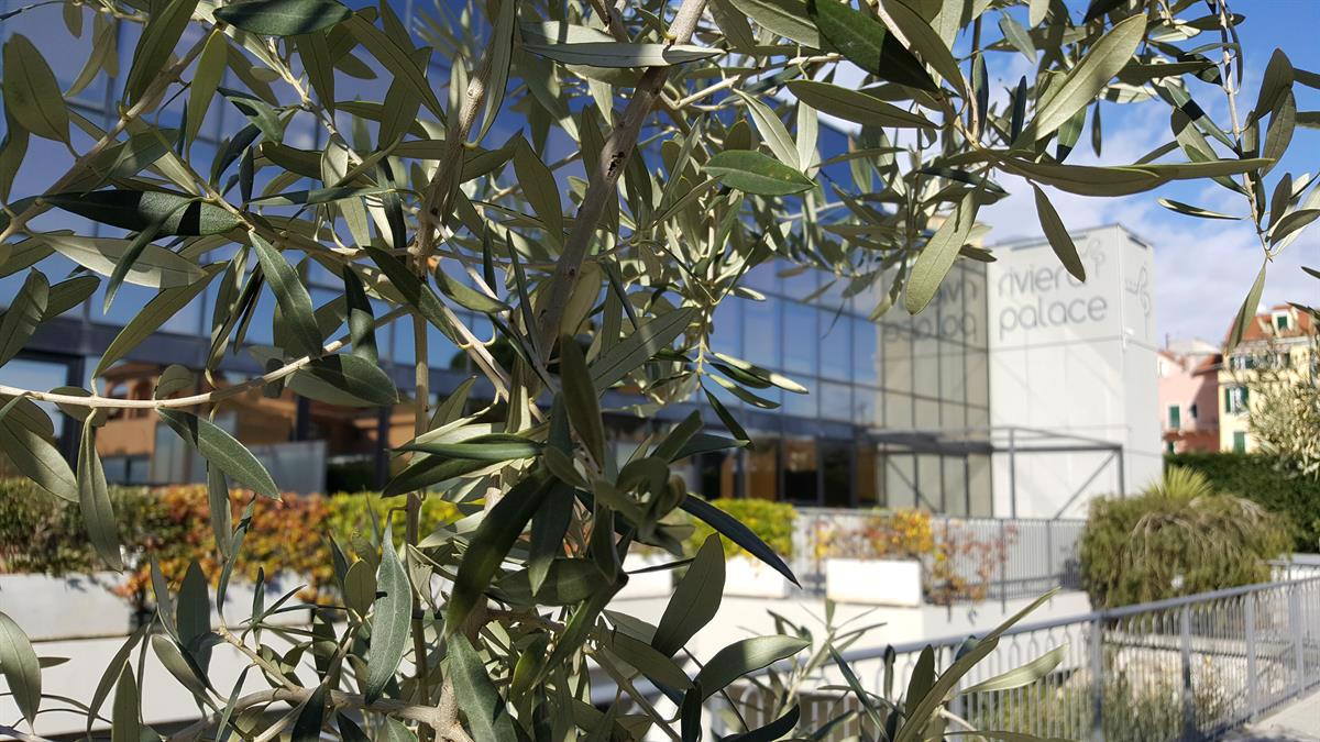 Riviera Palace - Afbeelding 2