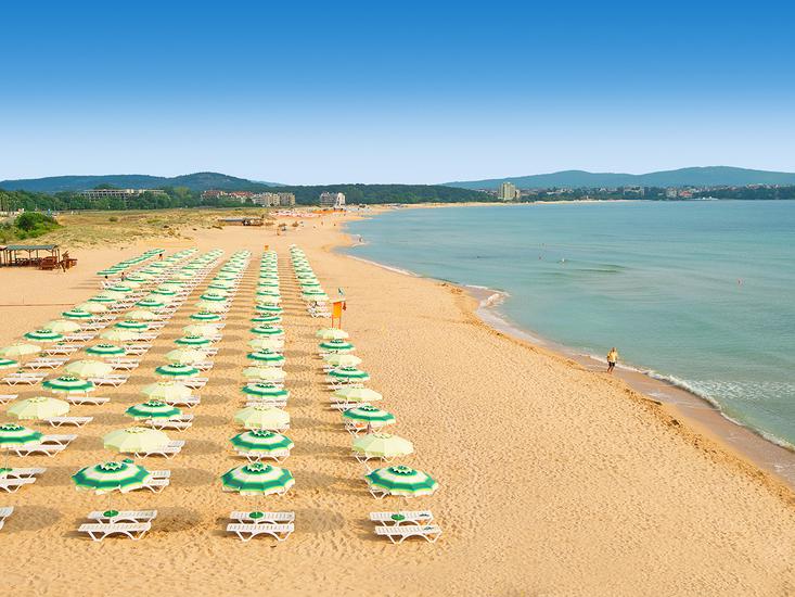 Forest Beach - Afbeelding 4