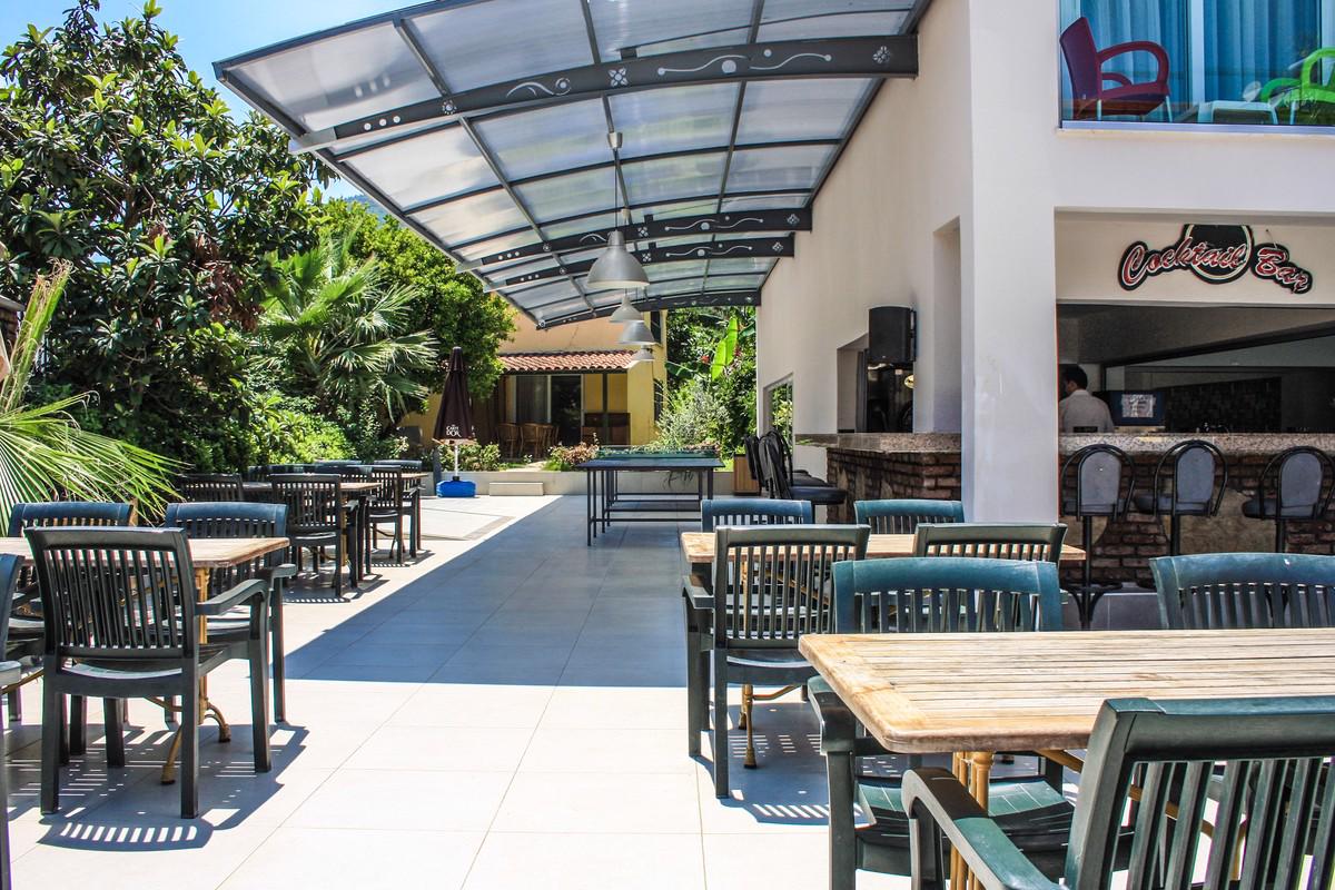 Palmea - Afbeelding 4