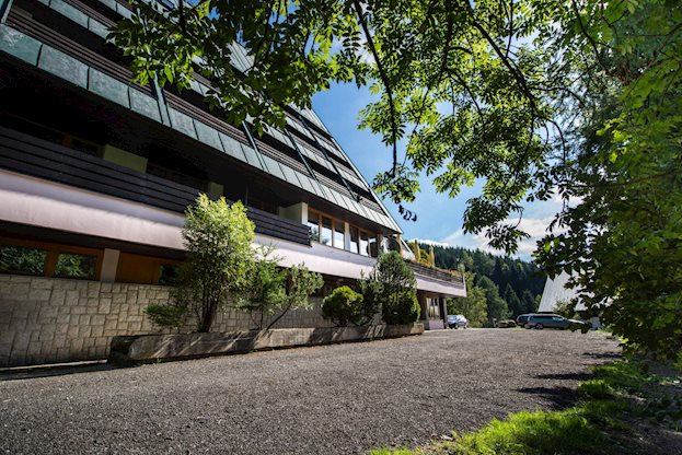 Parkhotel Harrachov - Afbeelding 4