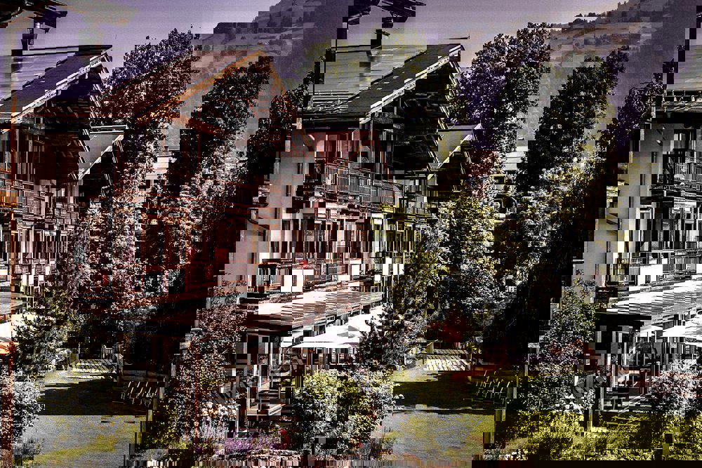 Kitzhof - Afbeelding 4