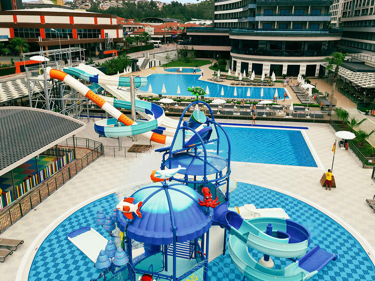 Lonicera Premium - Afbeelding 4