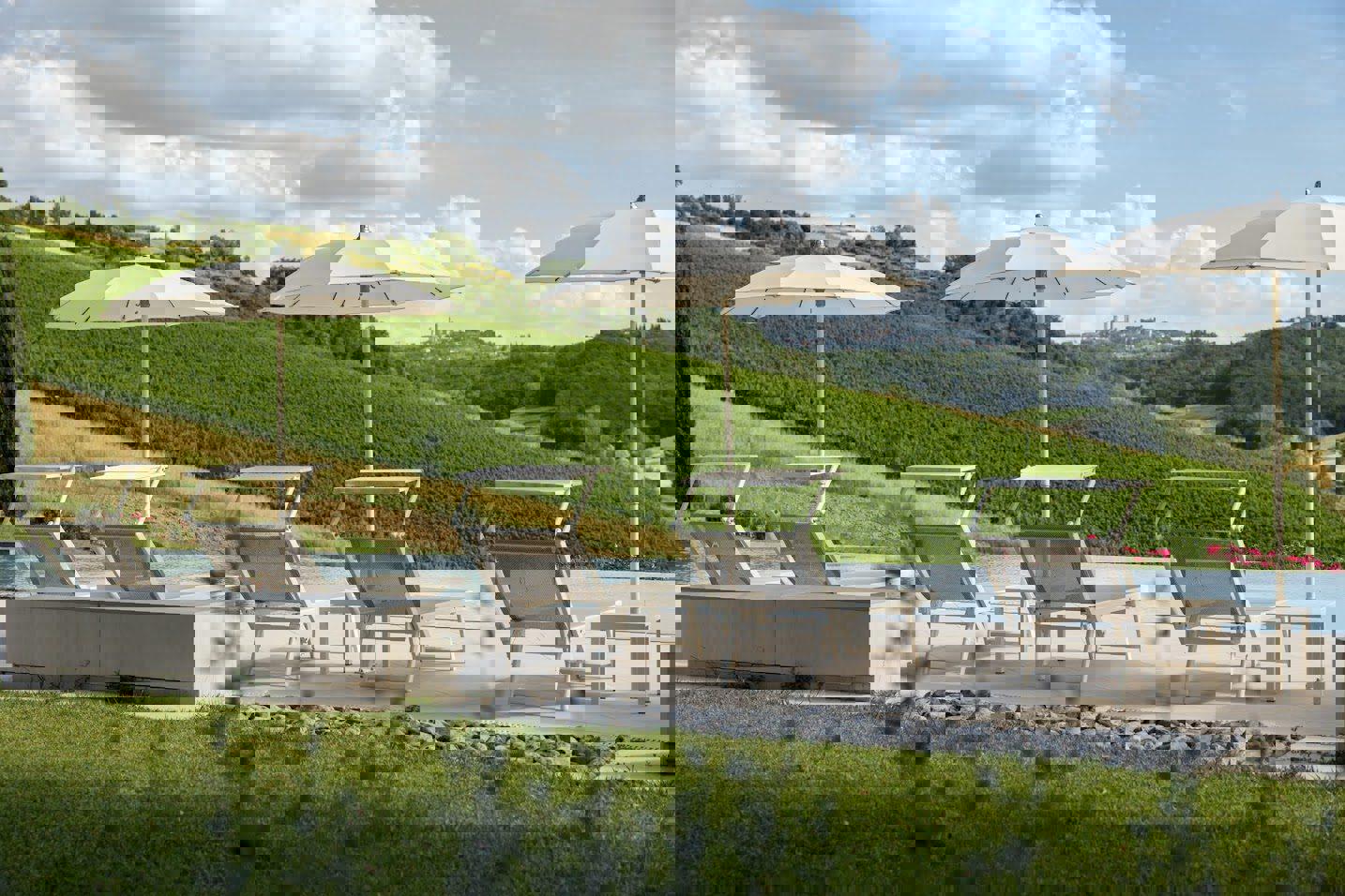 Poderi Arcangelo - Afbeelding 3